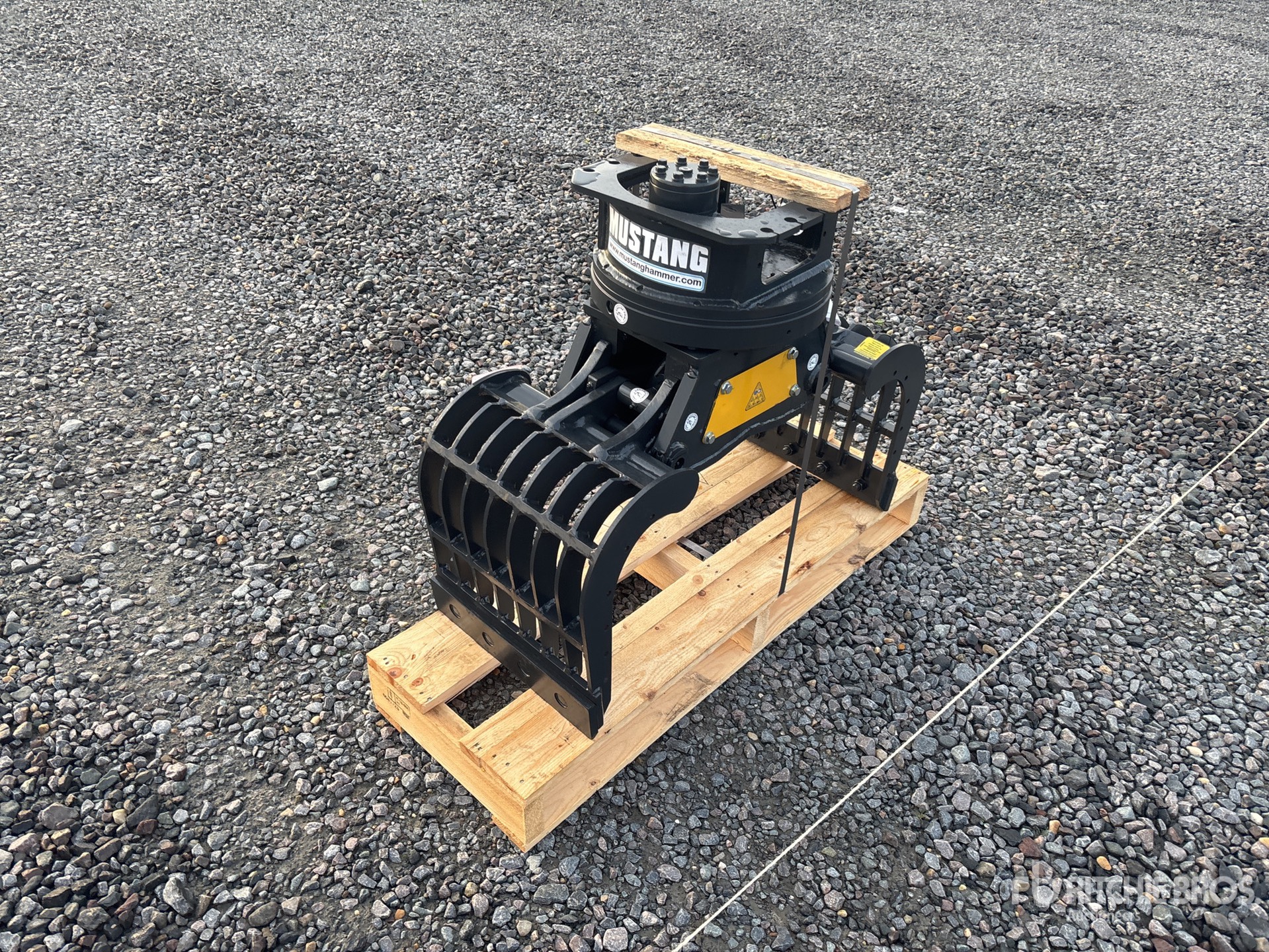 General Appearance with Bild, Ecke vorne links