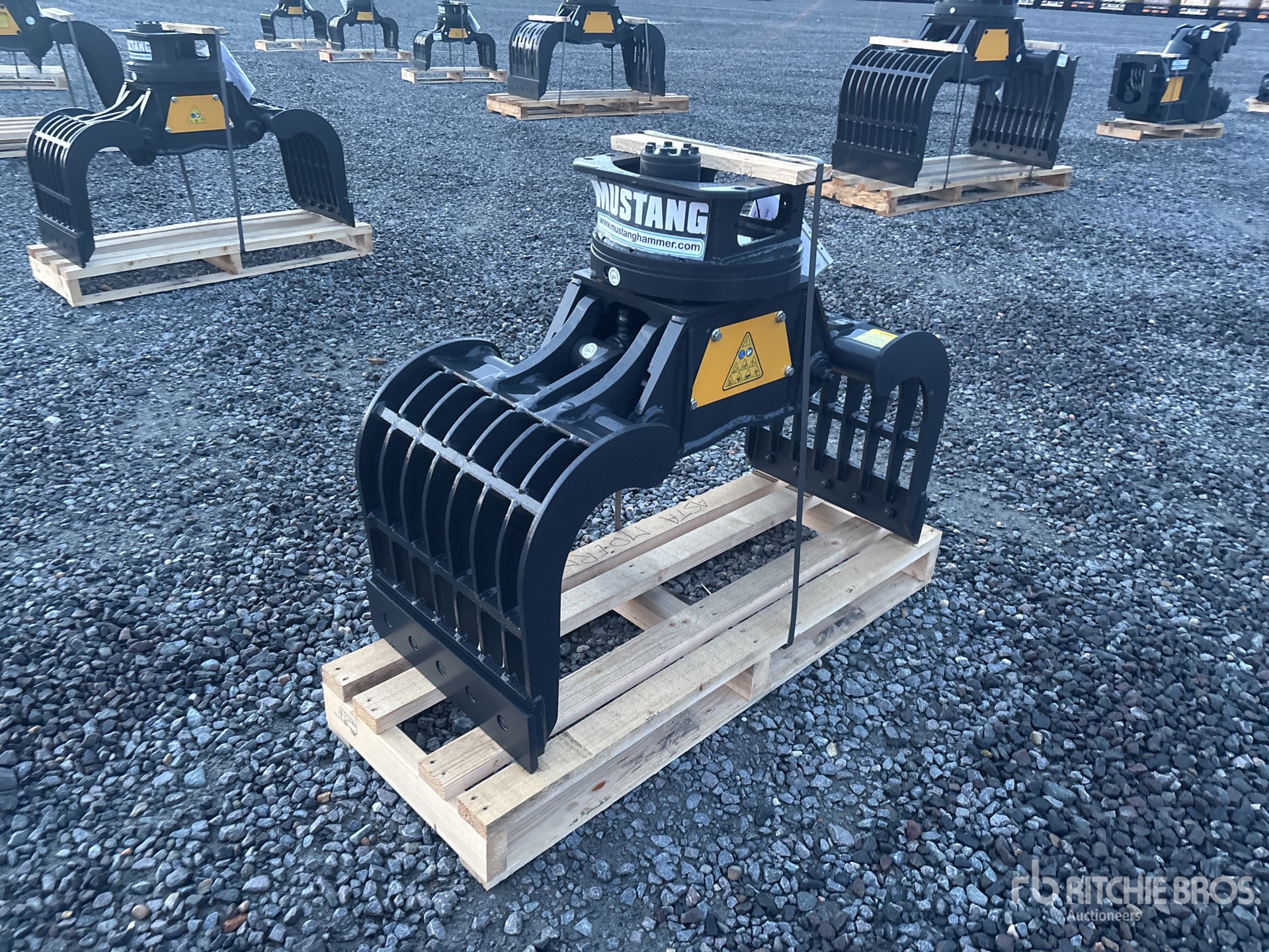 General Appearance with Bild, Ecke vorne links