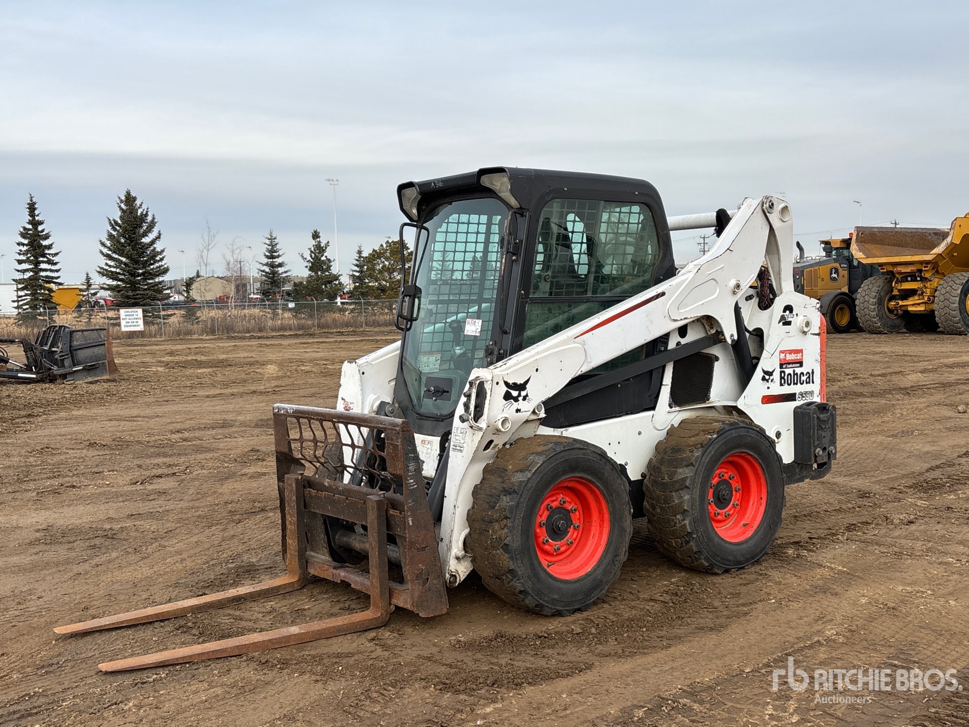 General Appearance with Spin