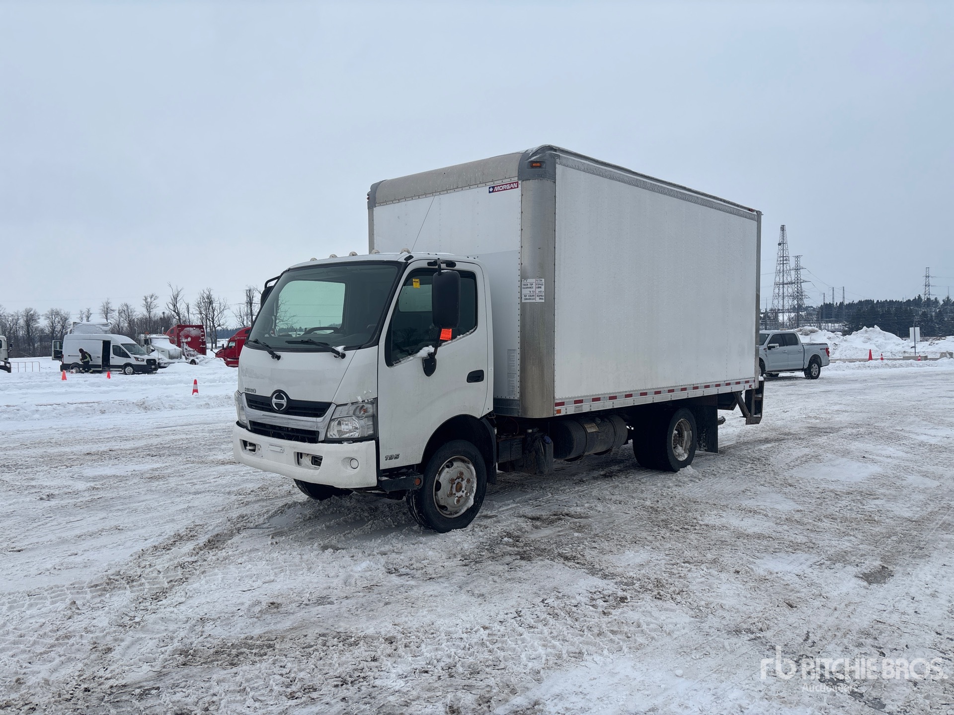 General Appearance with Spin