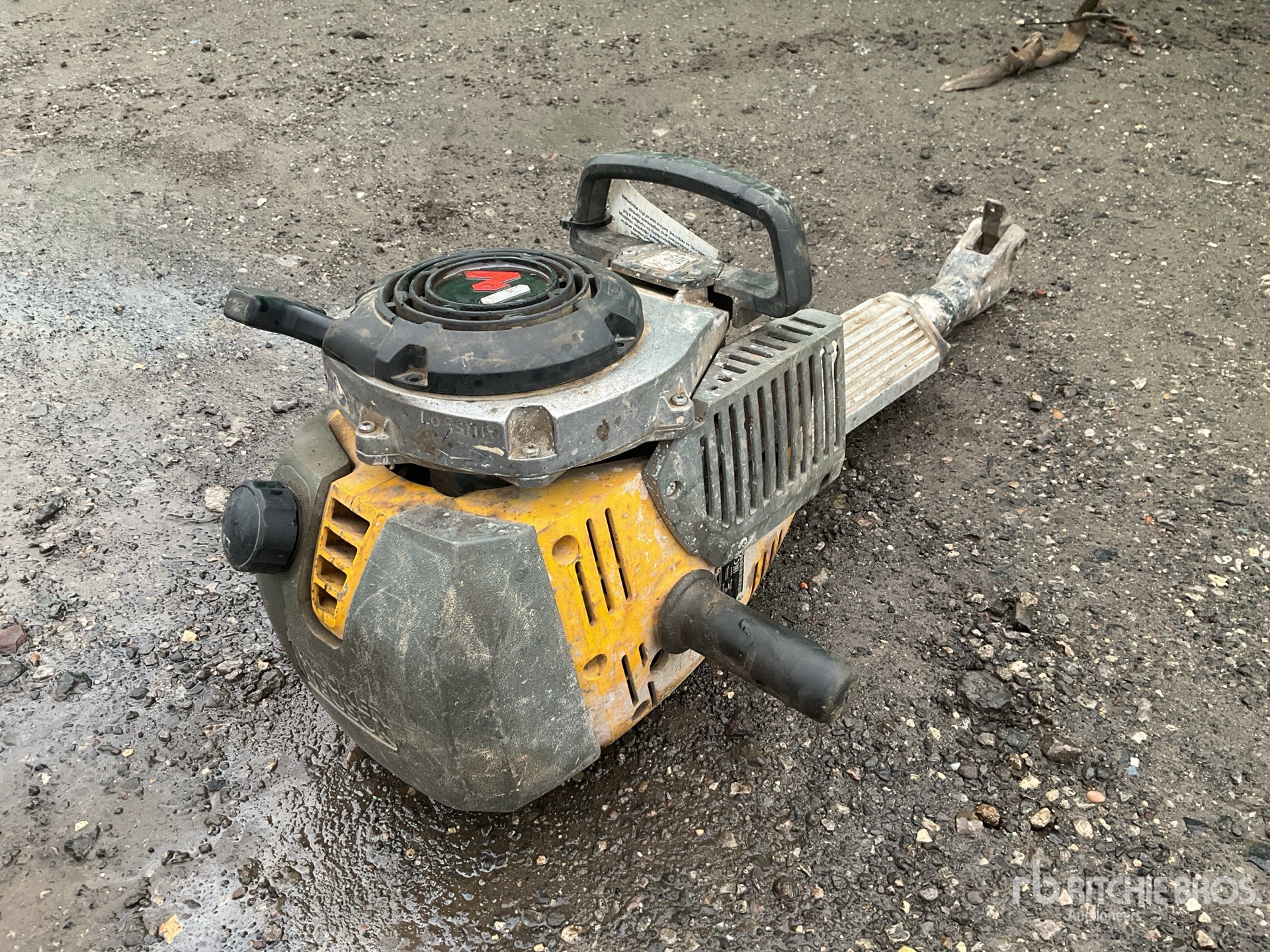 General Appearance with Foto, angolo anteriore sinistro