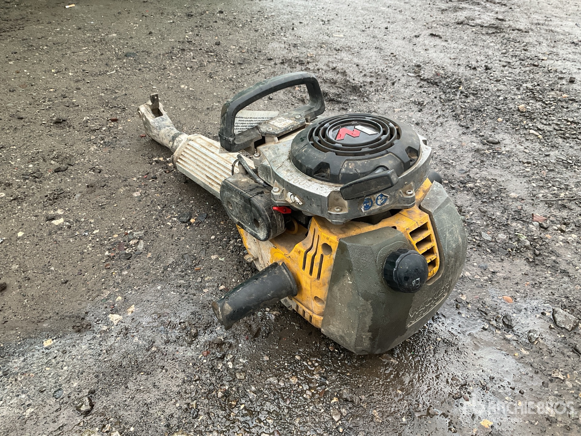 General Appearance with Foto, angolo posteriore sinistro