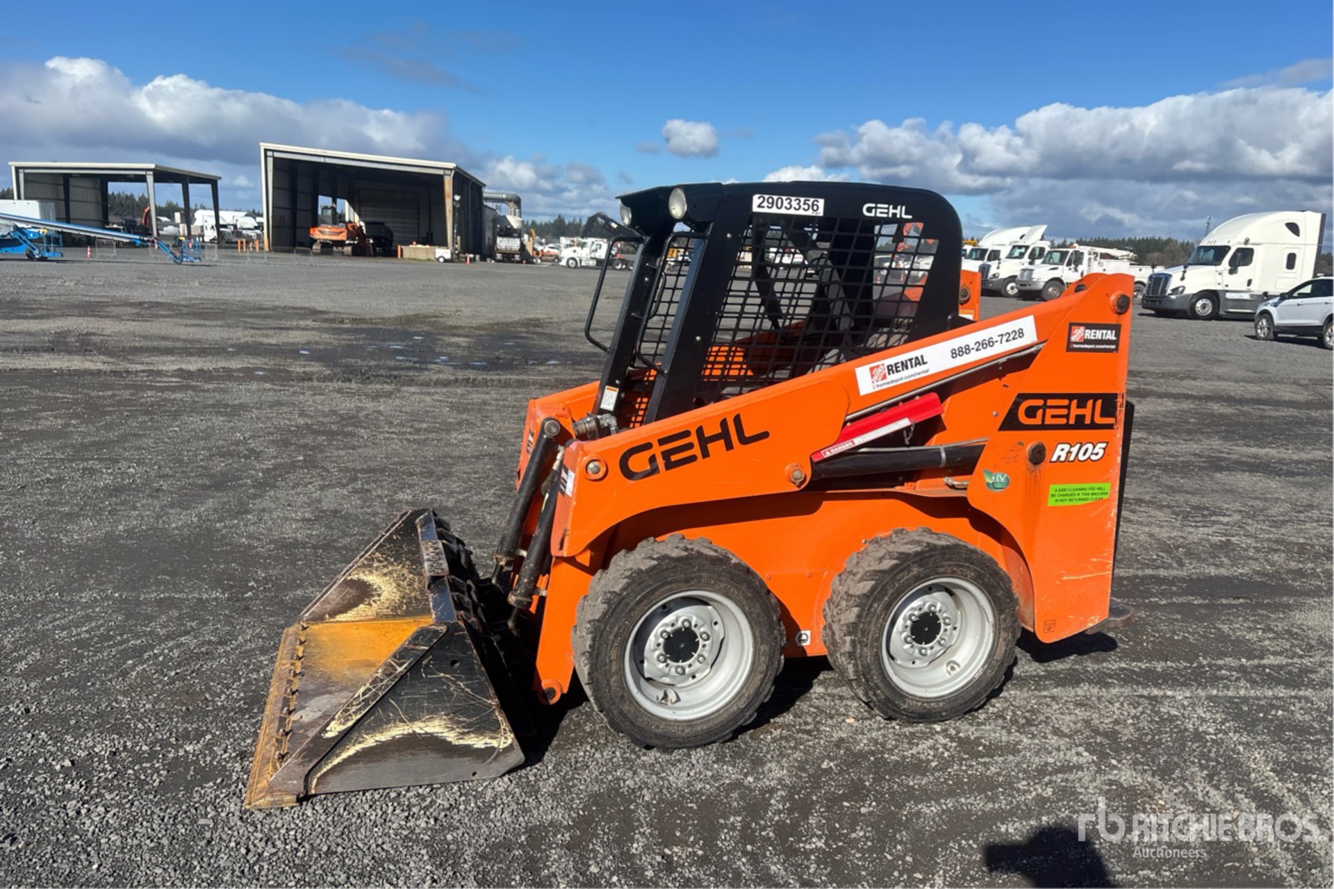 General Appearance with Spin