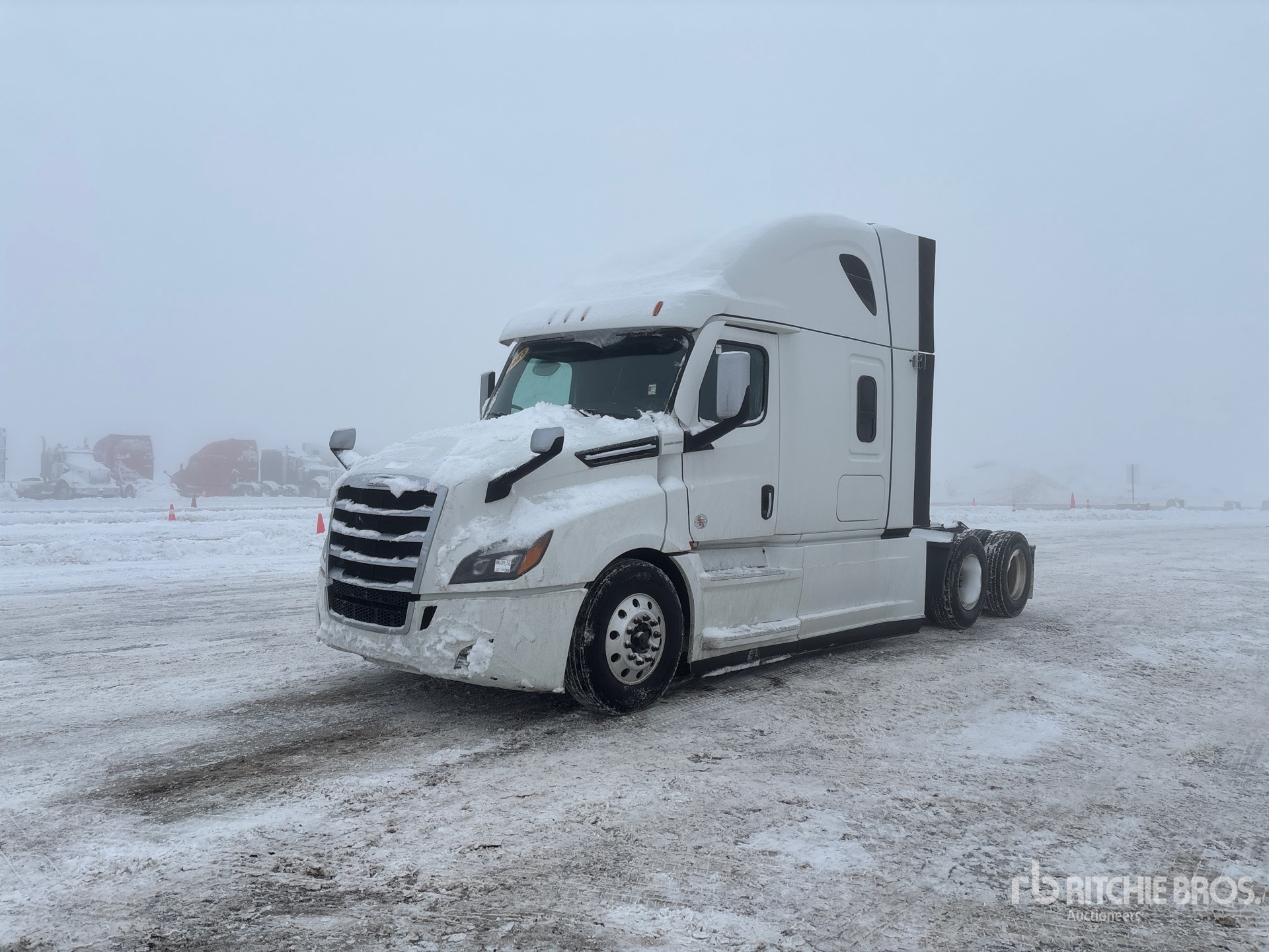 General Appearance with Spin