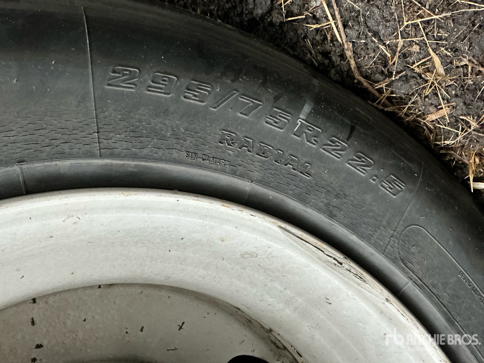 2023 Vanguard MAXCUBE