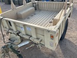 General Appearance with Paint