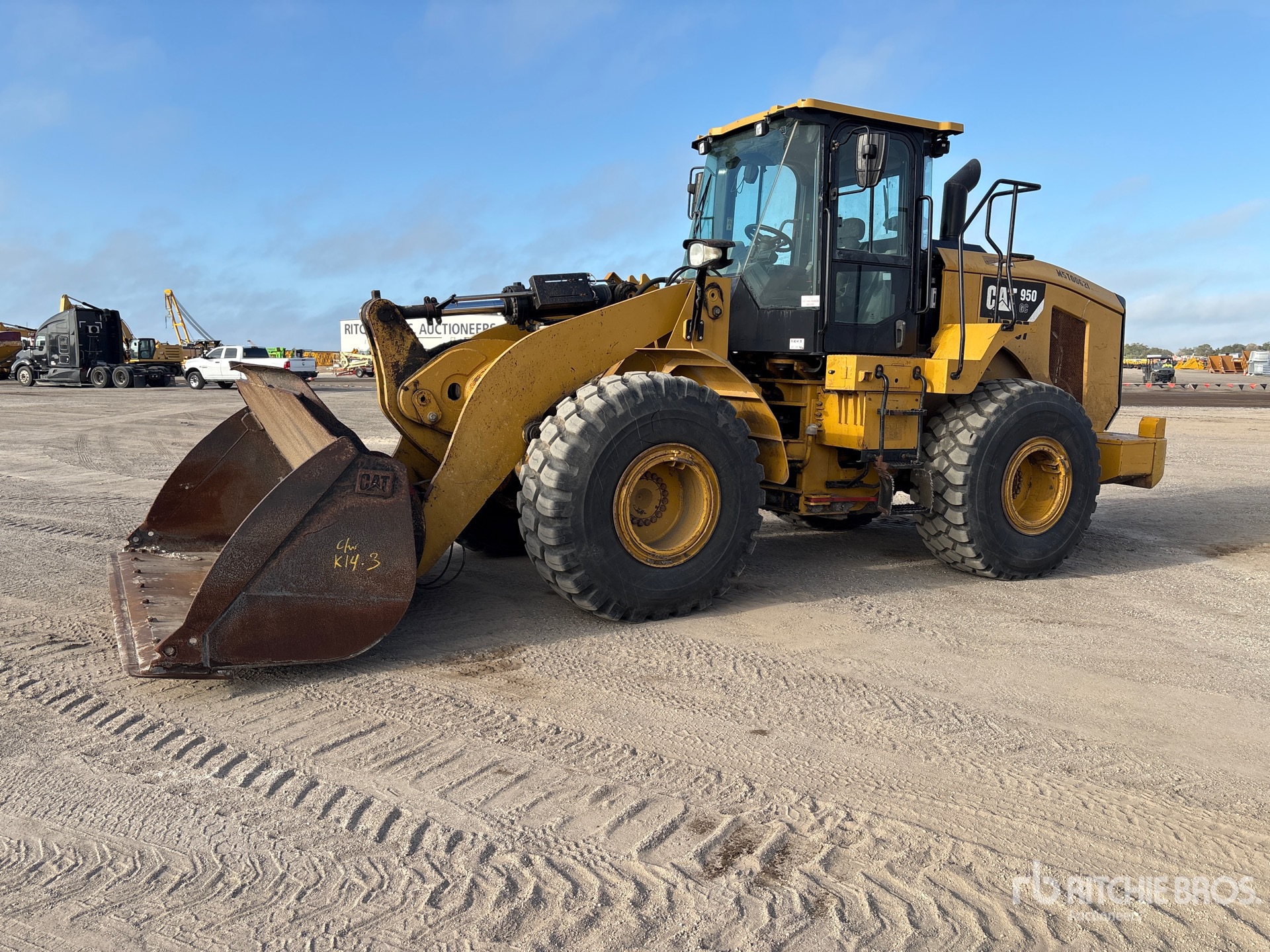 General Appearance with Spin