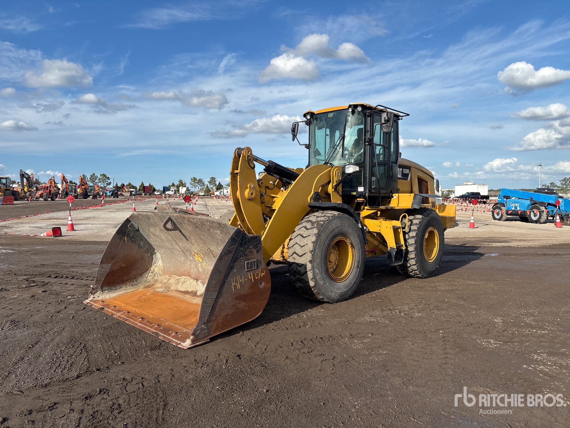 General Appearance with Spin