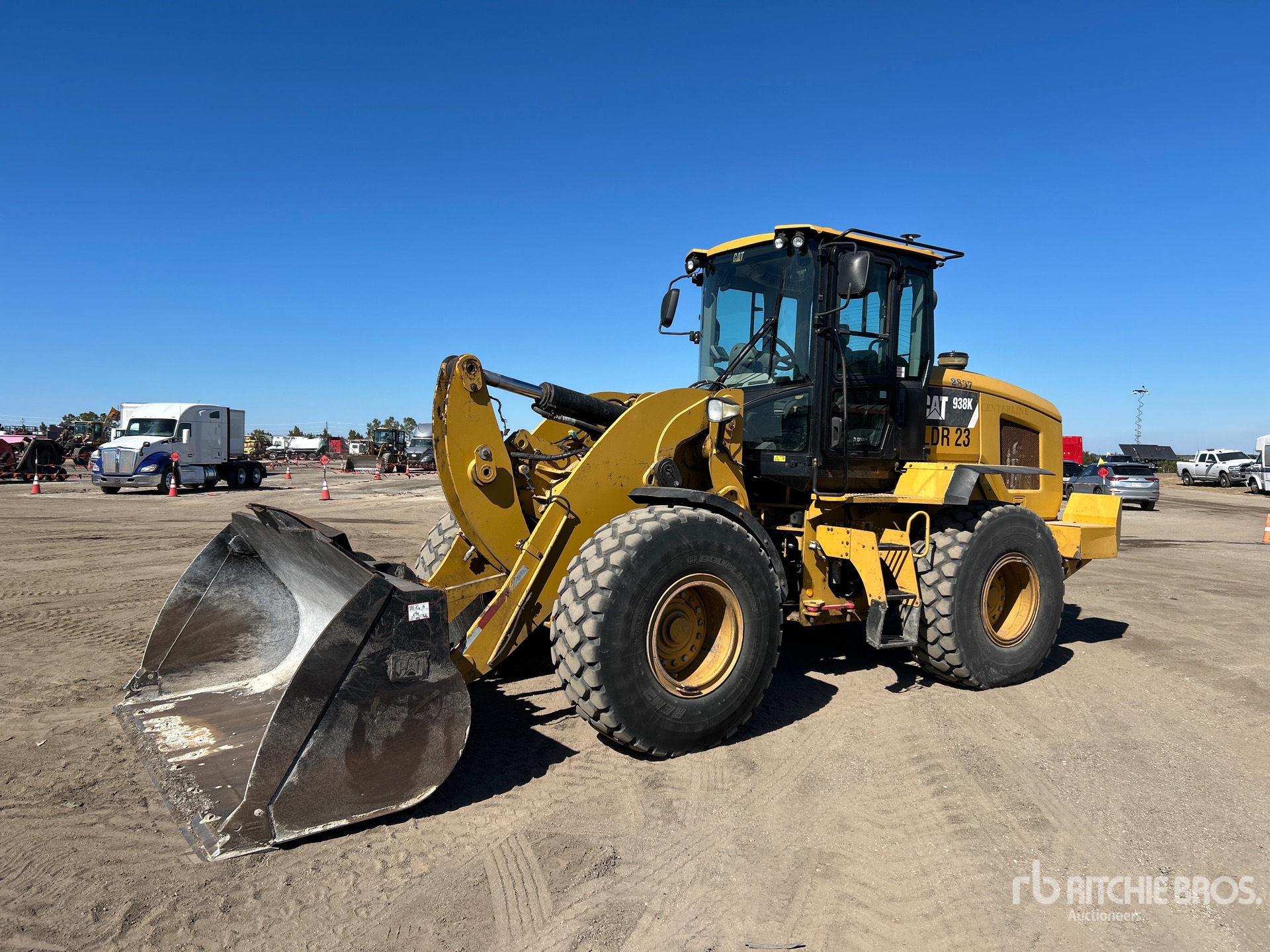 General Appearance with Spin