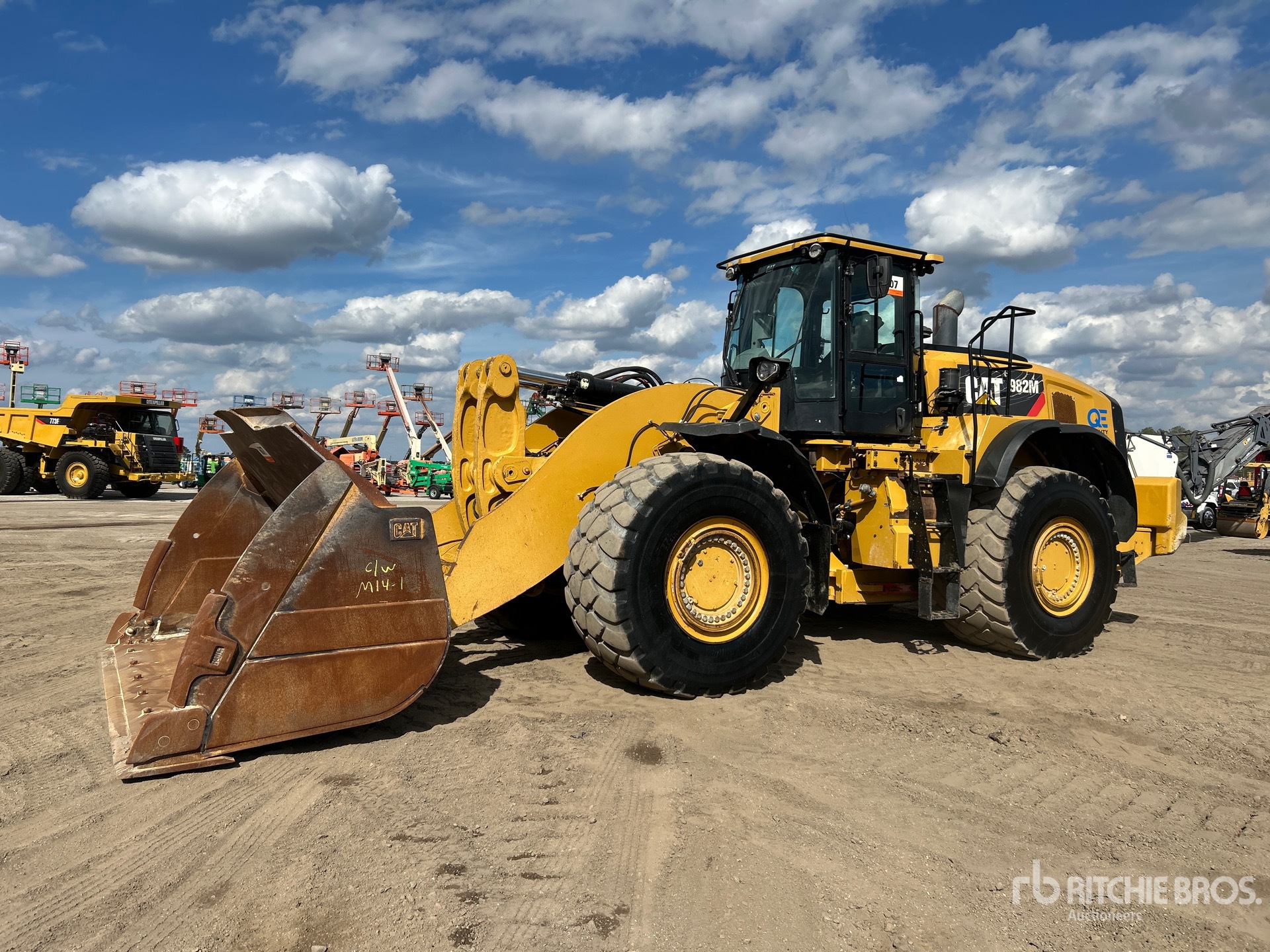 General Appearance with Spin