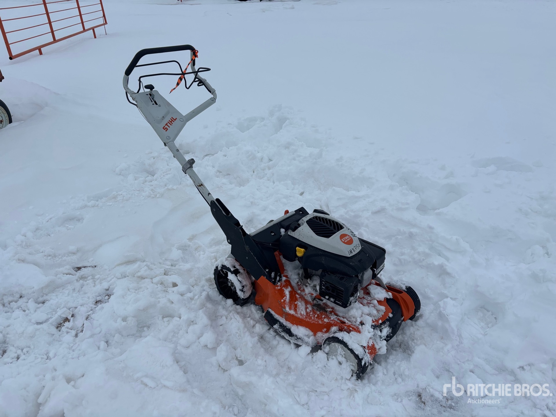General Appearance with Zdjęcie, prawy górny róg