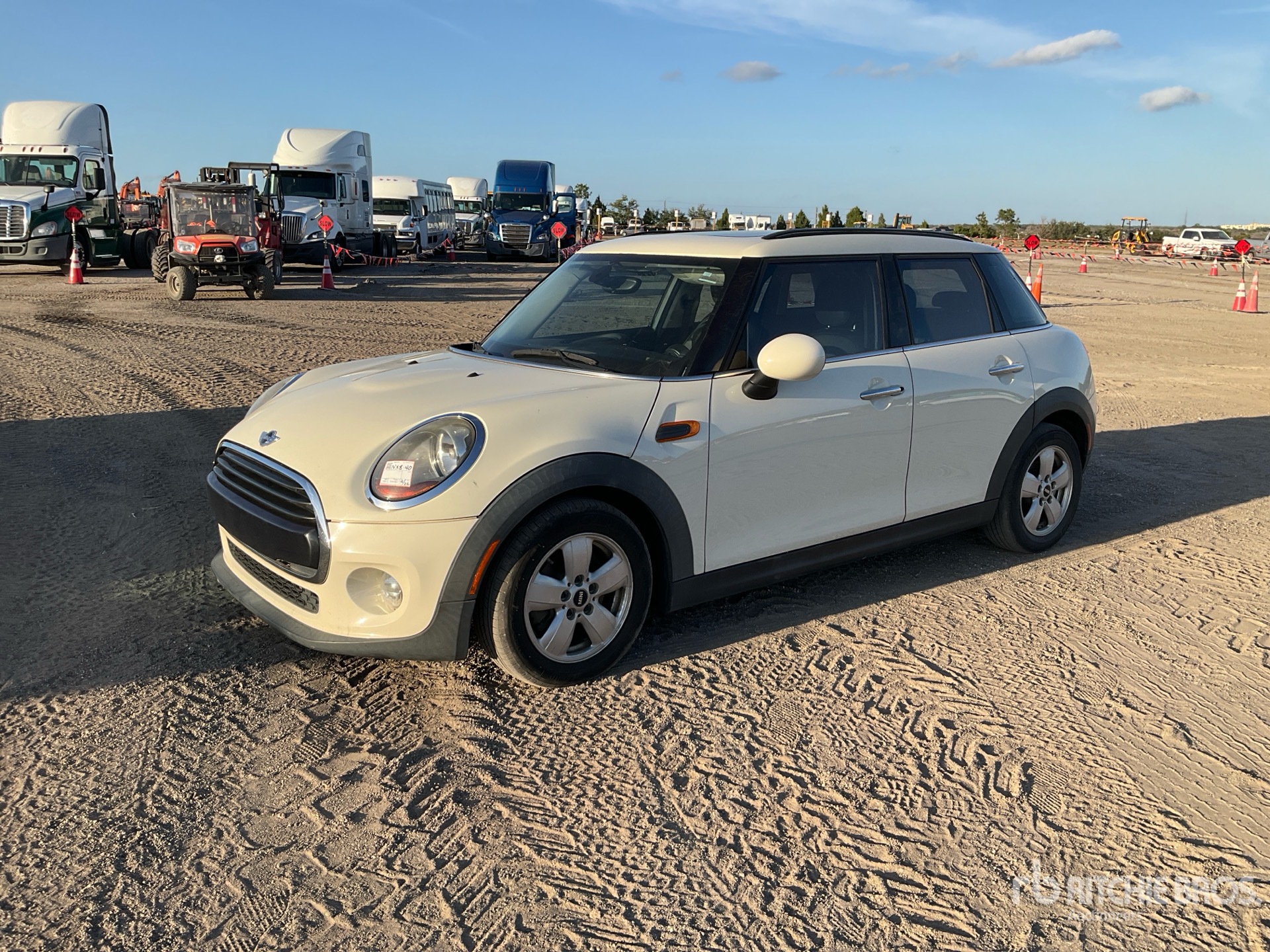 General Appearance with Spin