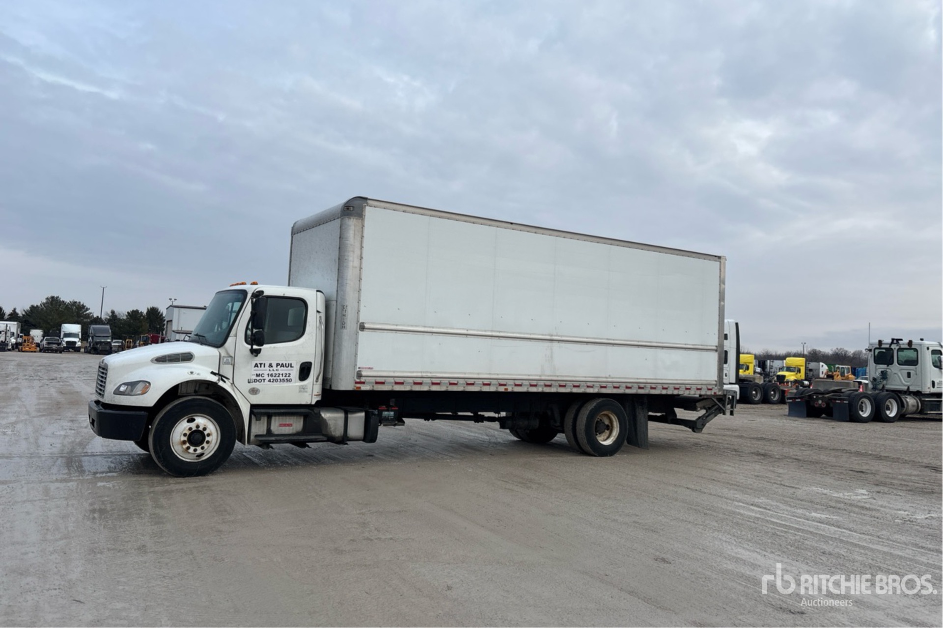 General Appearance with Spin