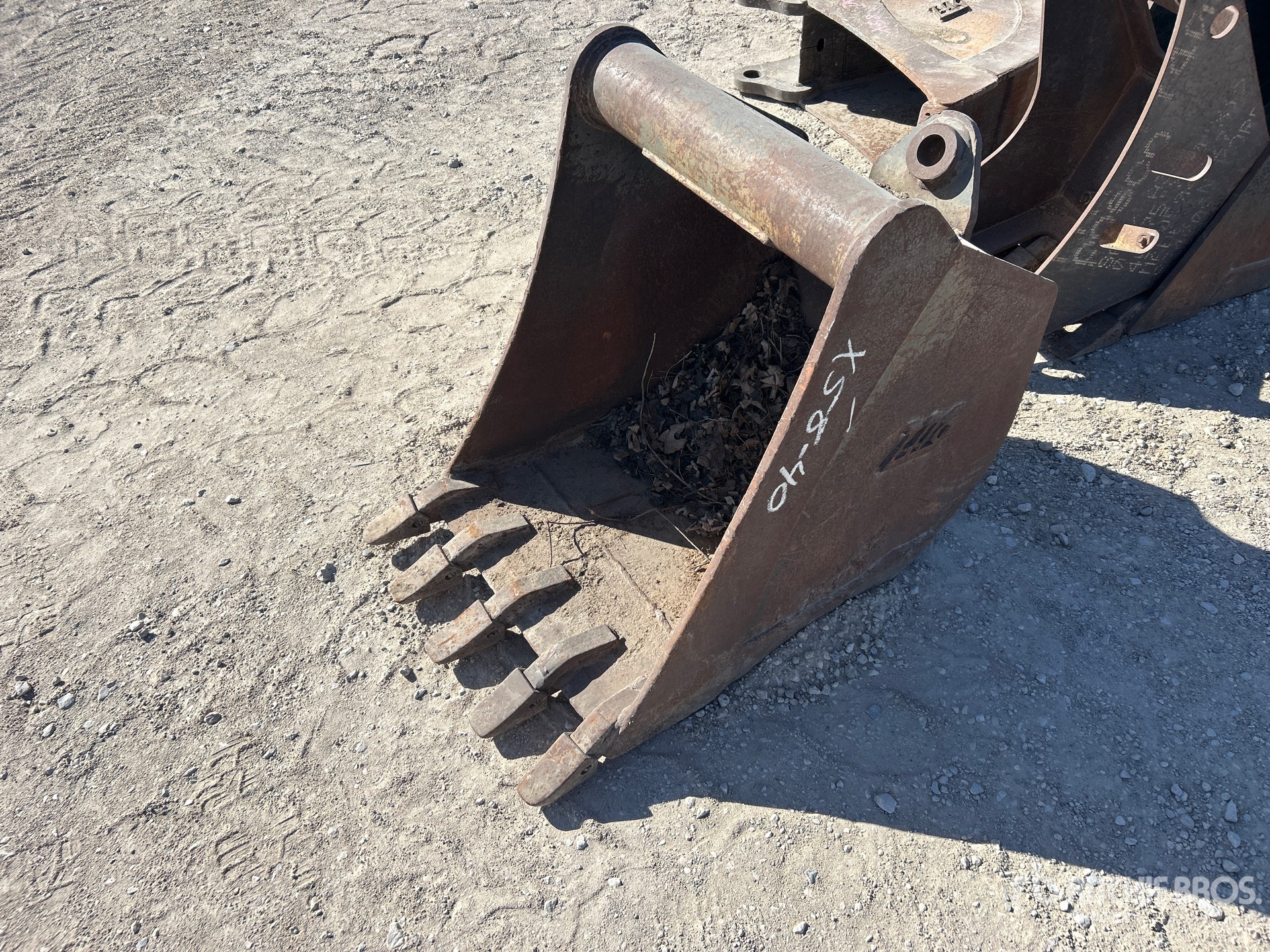 General Appearance with Zdjęcie, lewy górny róg