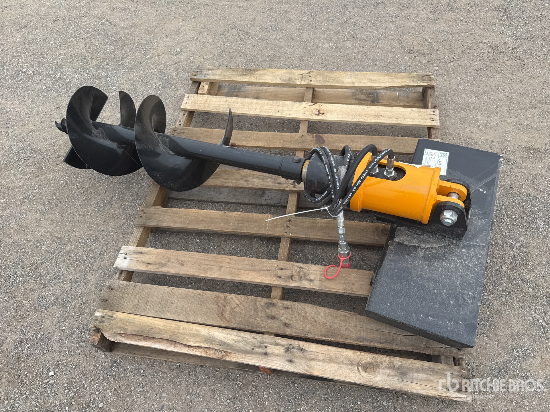 General Appearance with Zdjęcie, lewy dolny róg