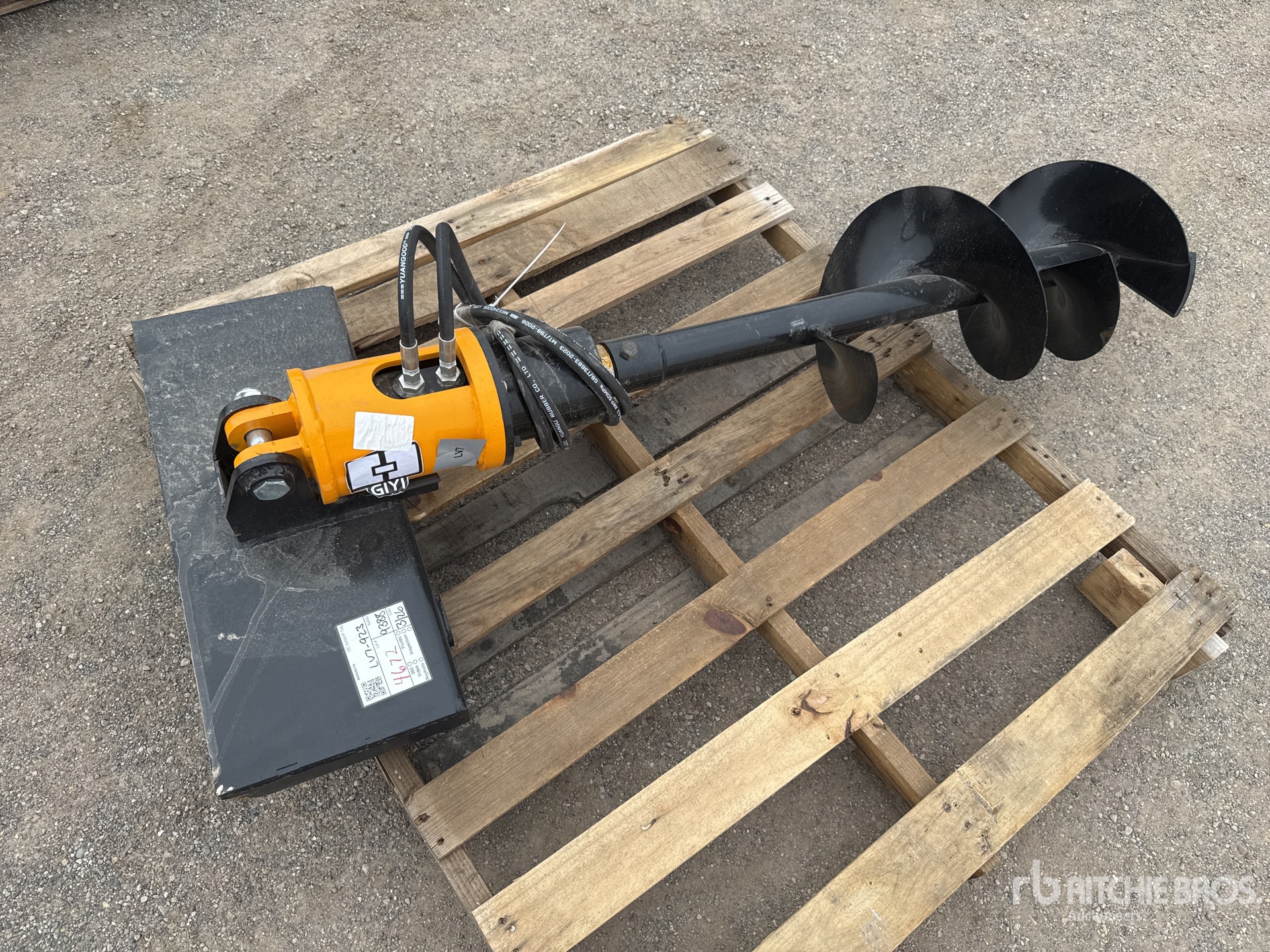 General Appearance with Zdjęcie, prawy dolny róg