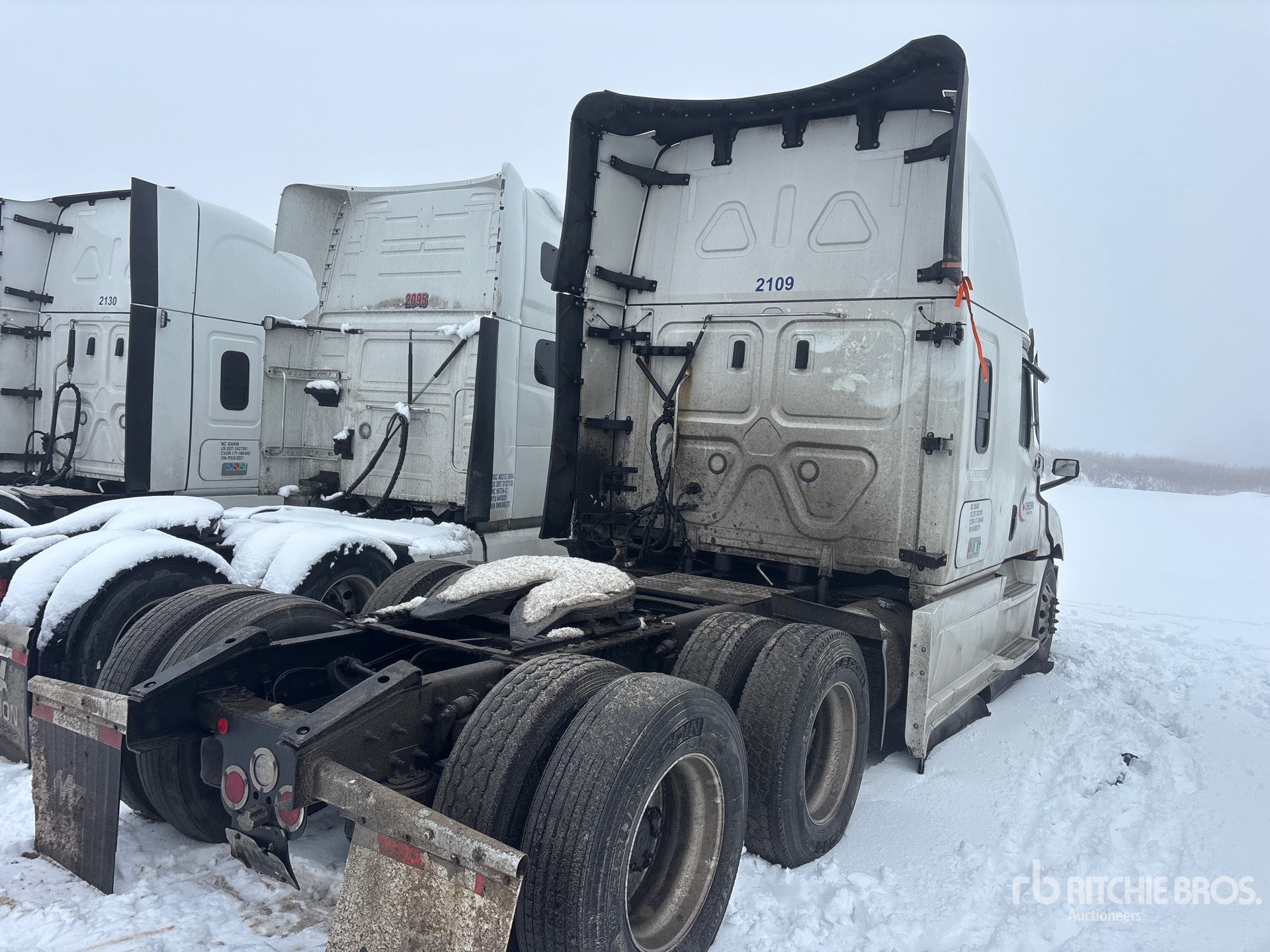 General Appearance with Image, coin arrière droit