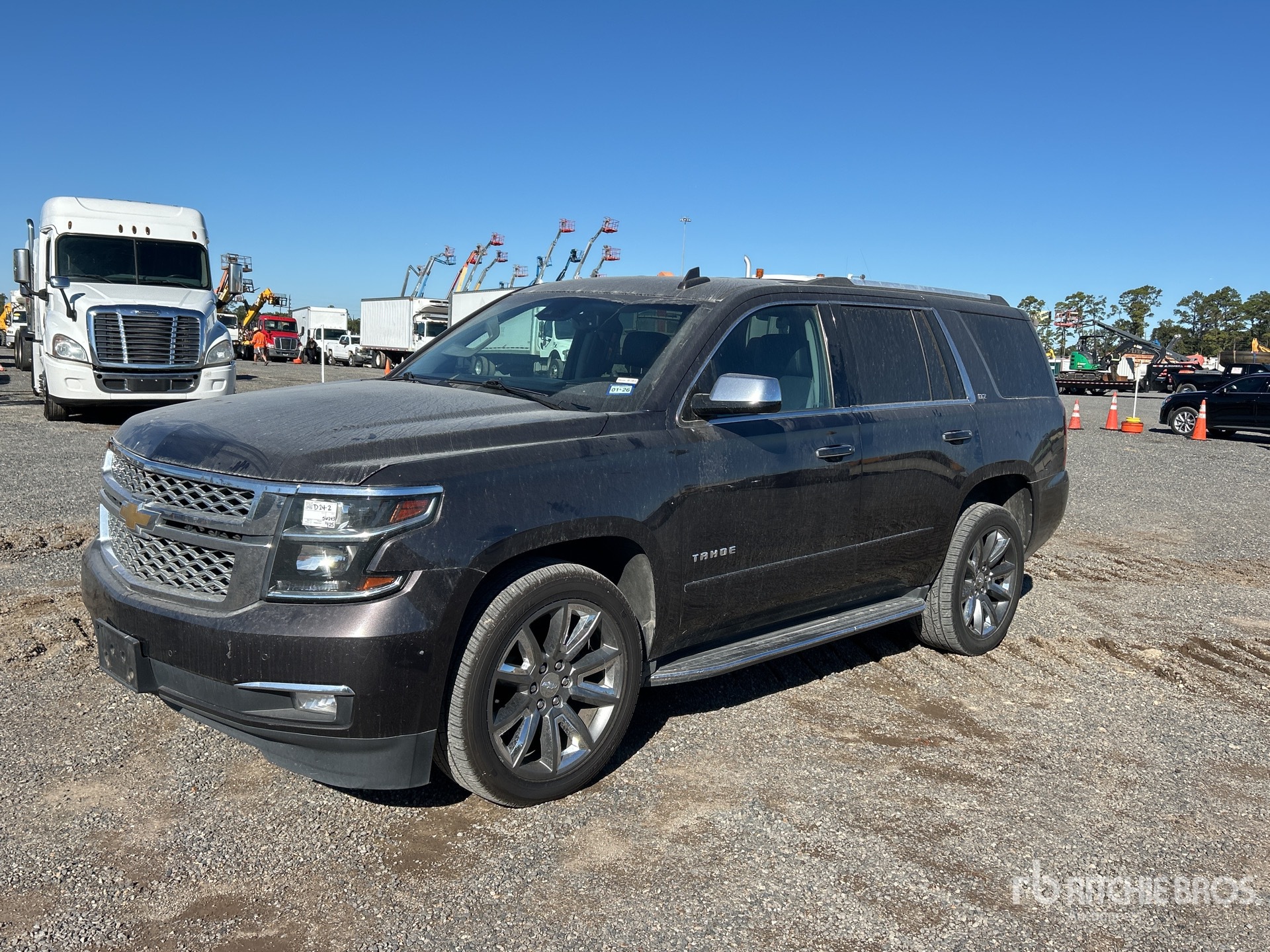 General Appearance with Spin