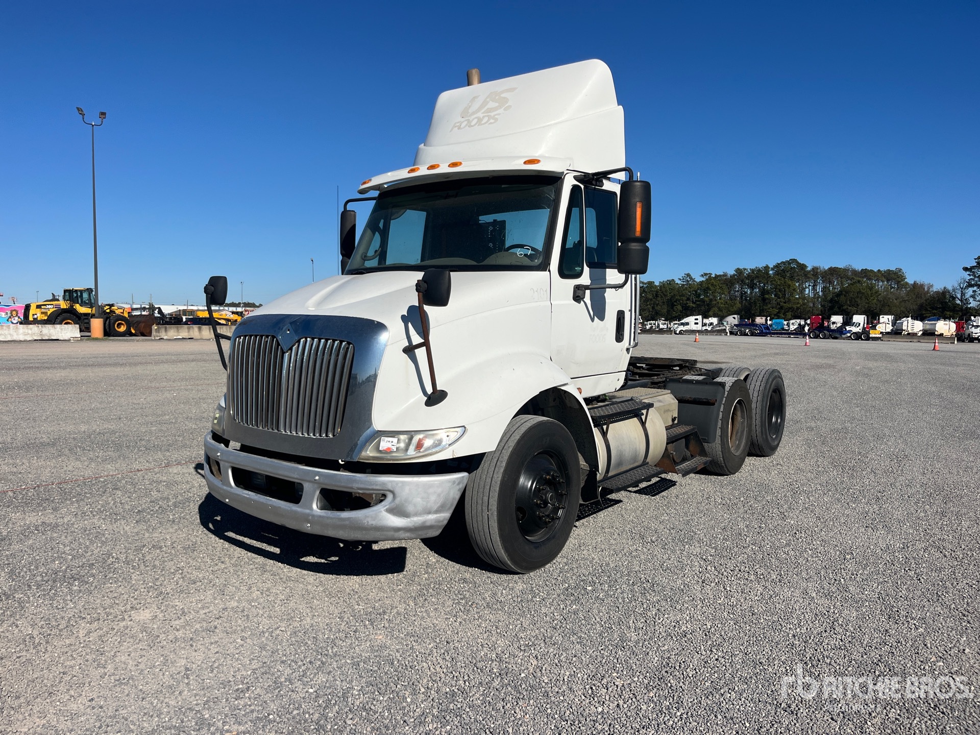 General Appearance with Spin