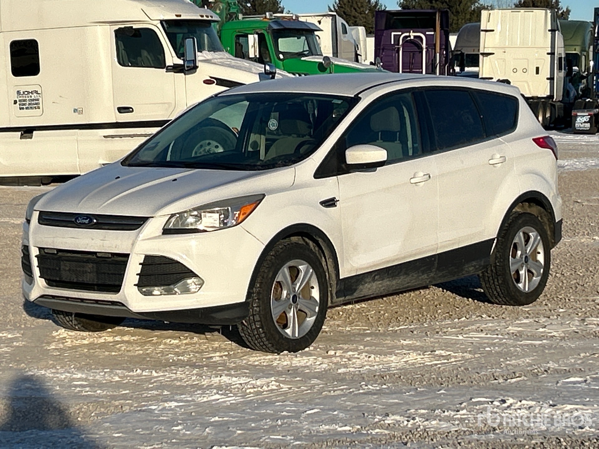 General Appearance with Picture, Left Front Corner