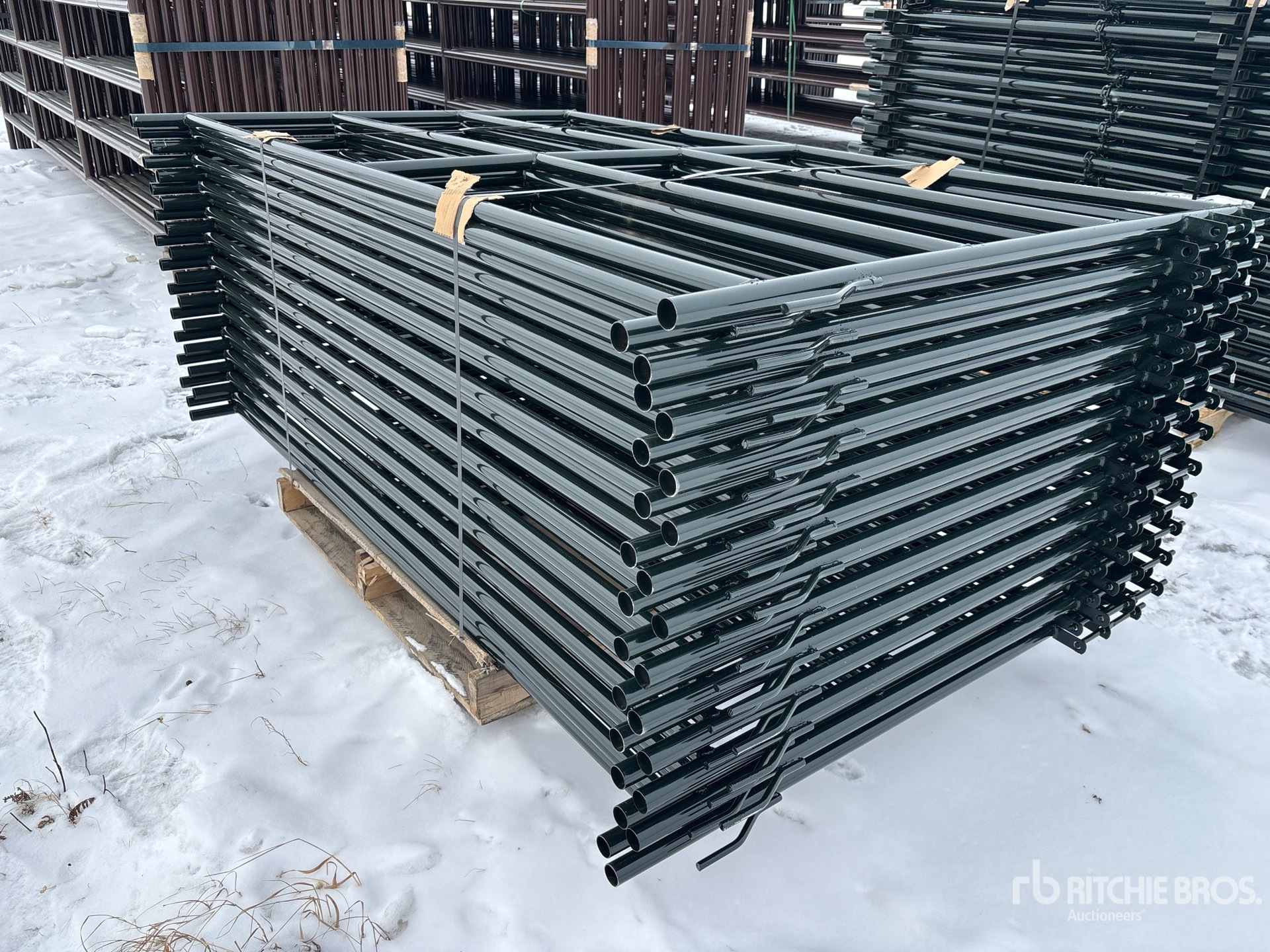 General Appearance with Foto, angolo anteriore destro