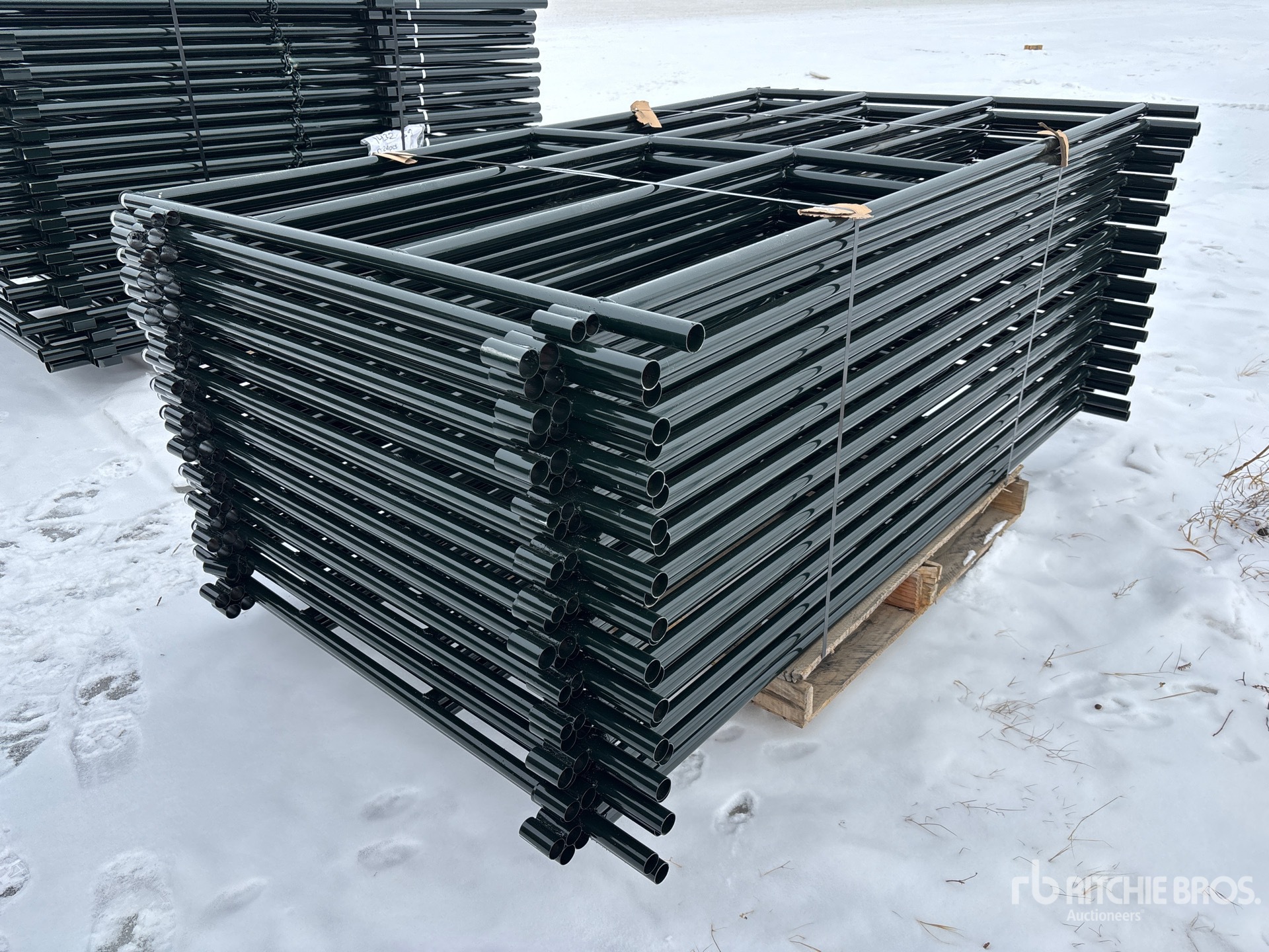 General Appearance with Foto, angolo anteriore sinistro