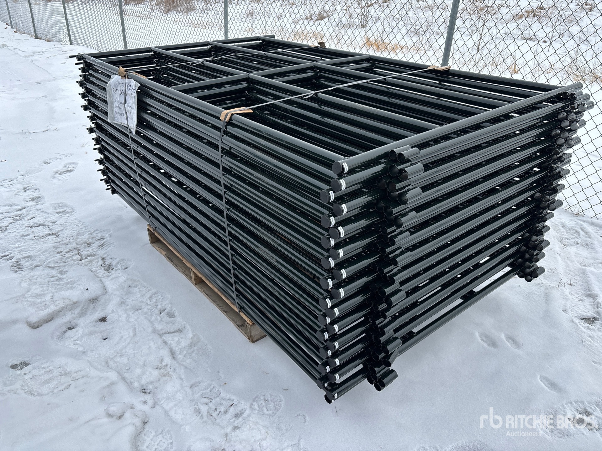 General Appearance with Foto, angolo posteriore sinistro