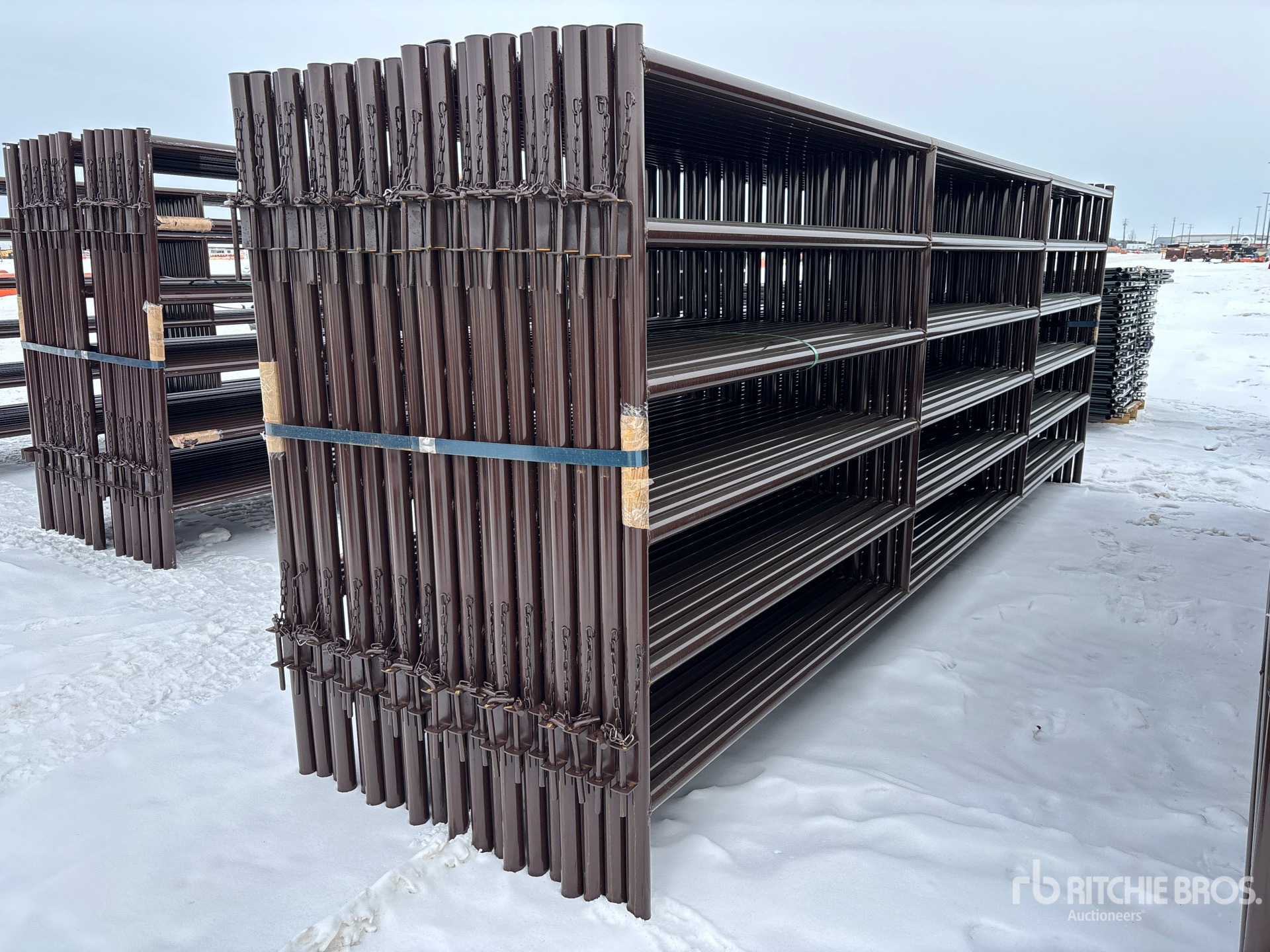 General Appearance with Foto, angolo anteriore sinistro