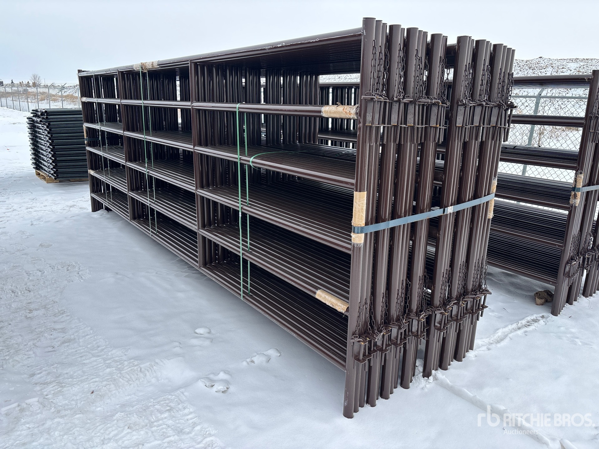 General Appearance with Foto, angolo posteriore sinistro