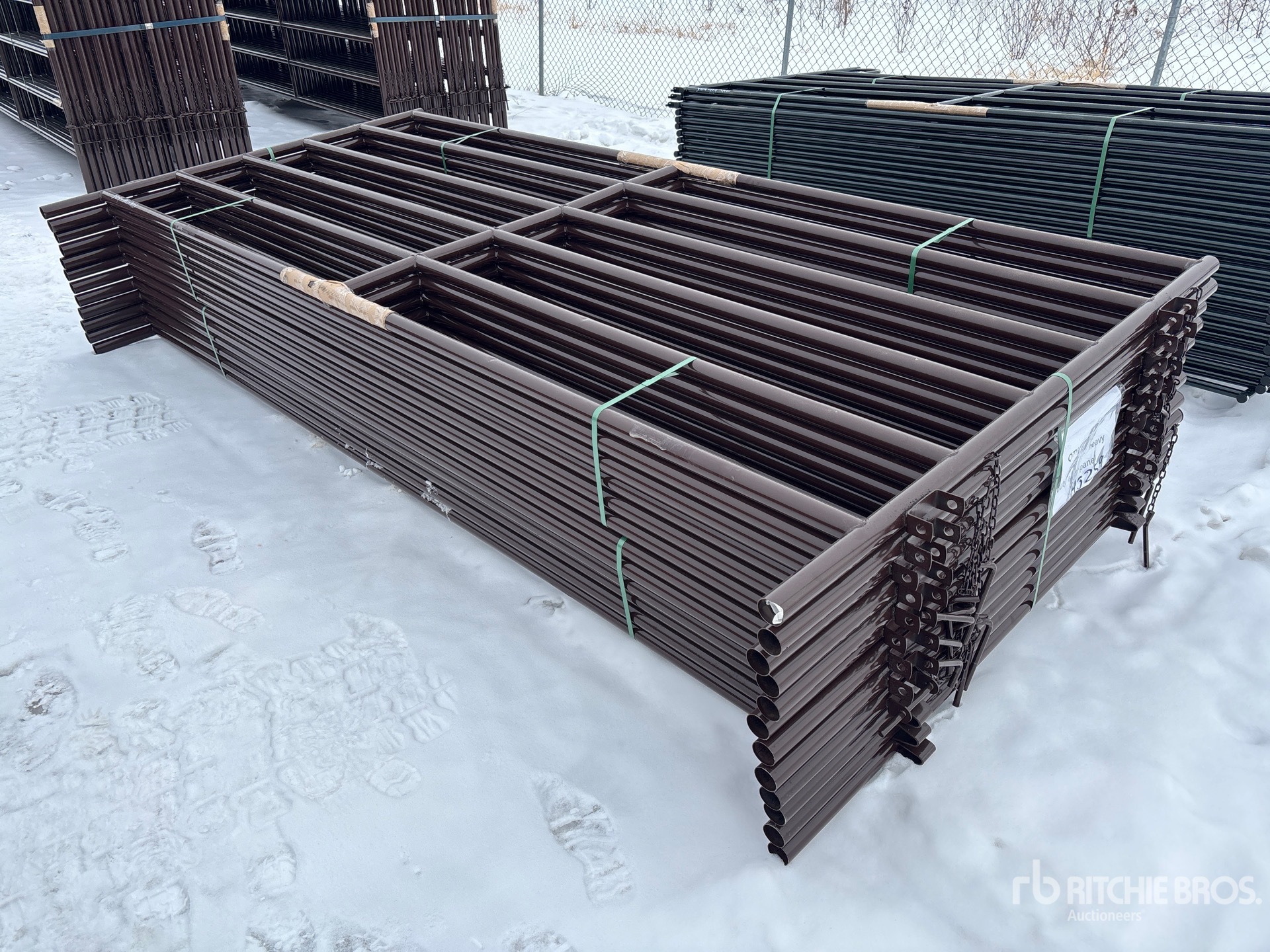 General Appearance with Foto, angolo anteriore sinistro