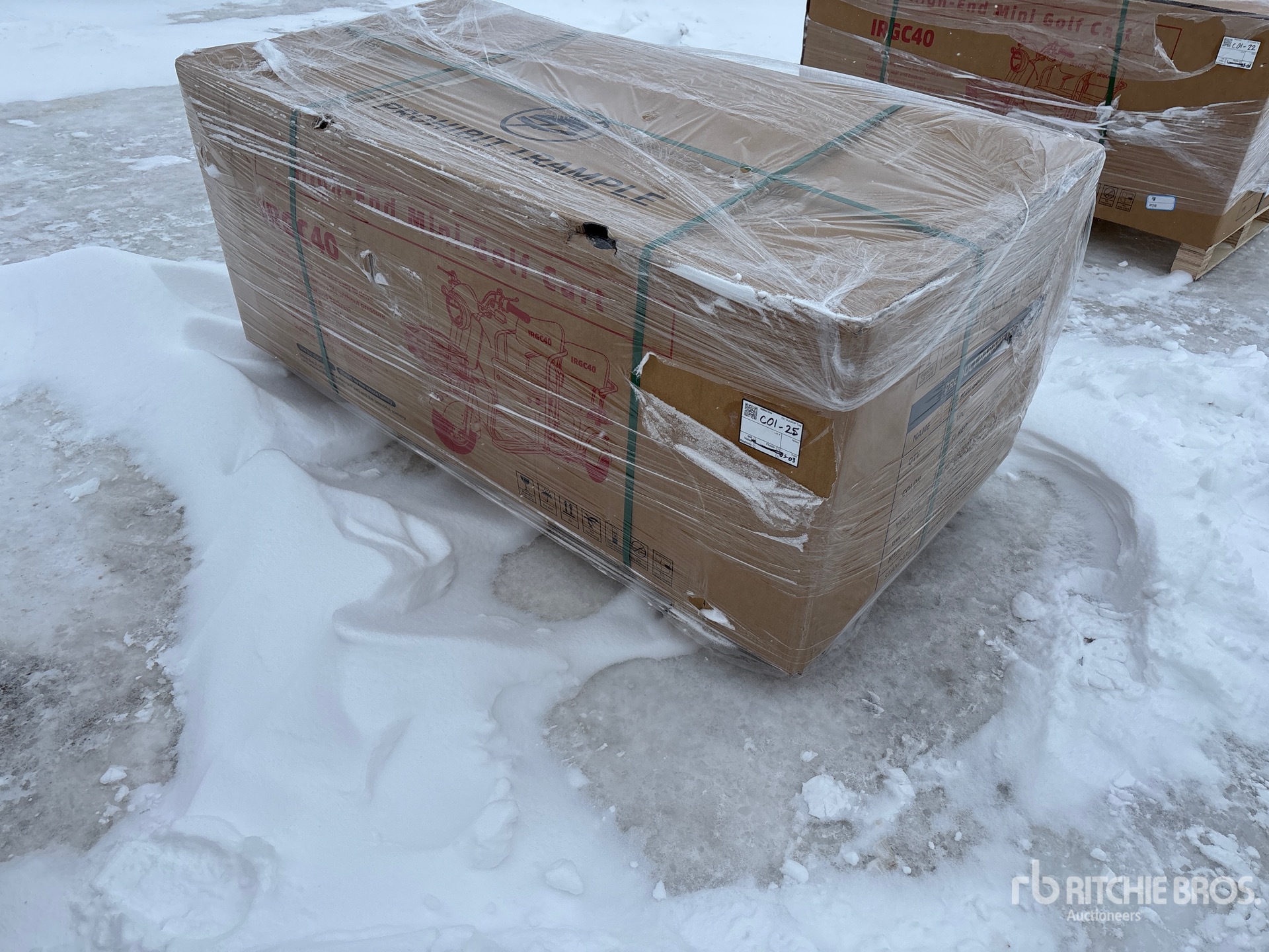 General Appearance with Picture, Left Front Corner