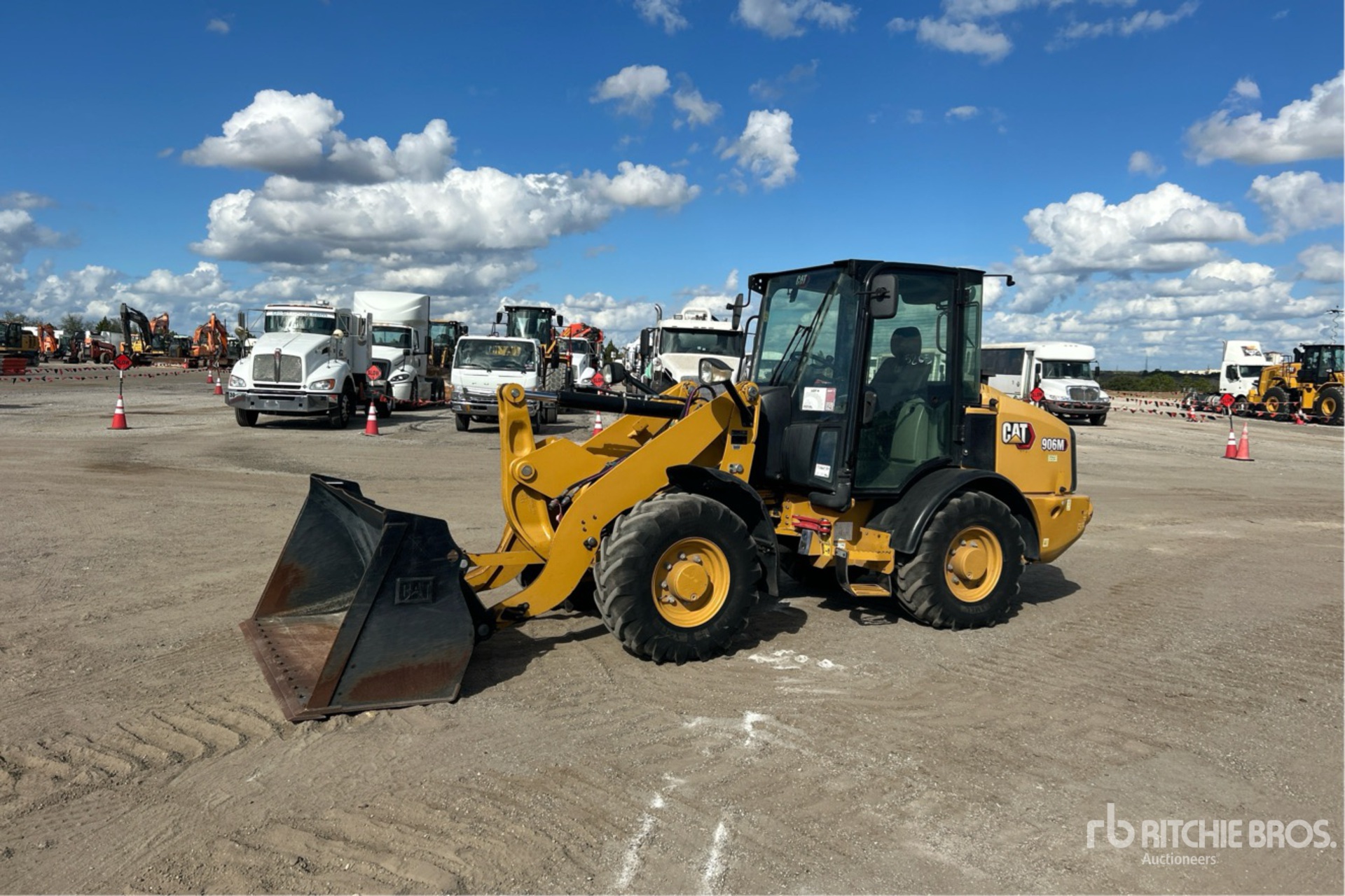 General Appearance with Spin