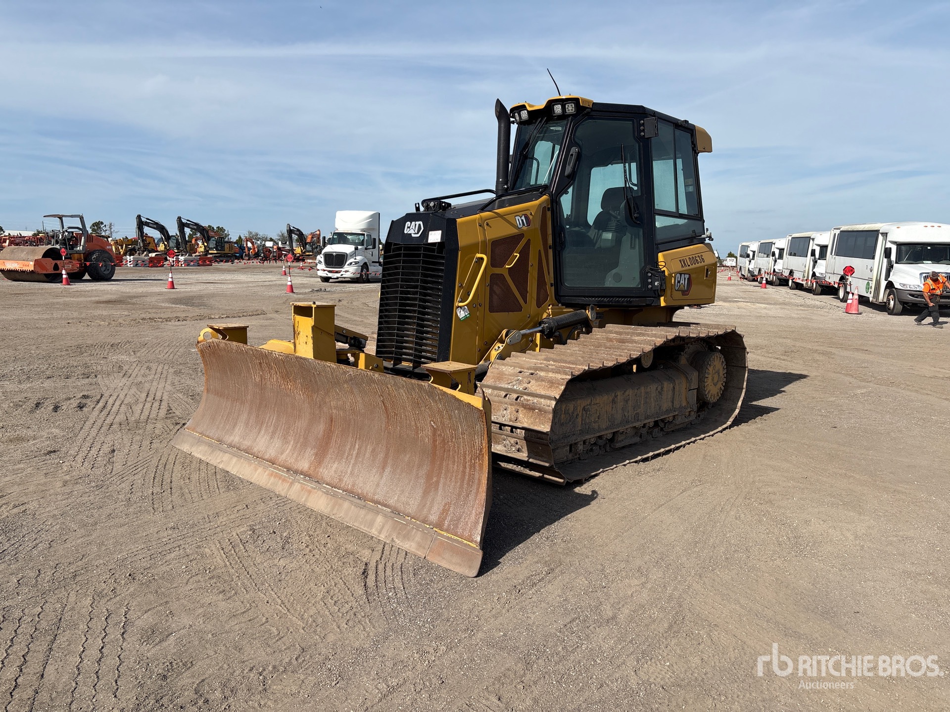 General Appearance with Spin