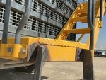 General Appearance with Paint