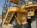 General Appearance with Paint