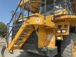 General Appearance with Paint