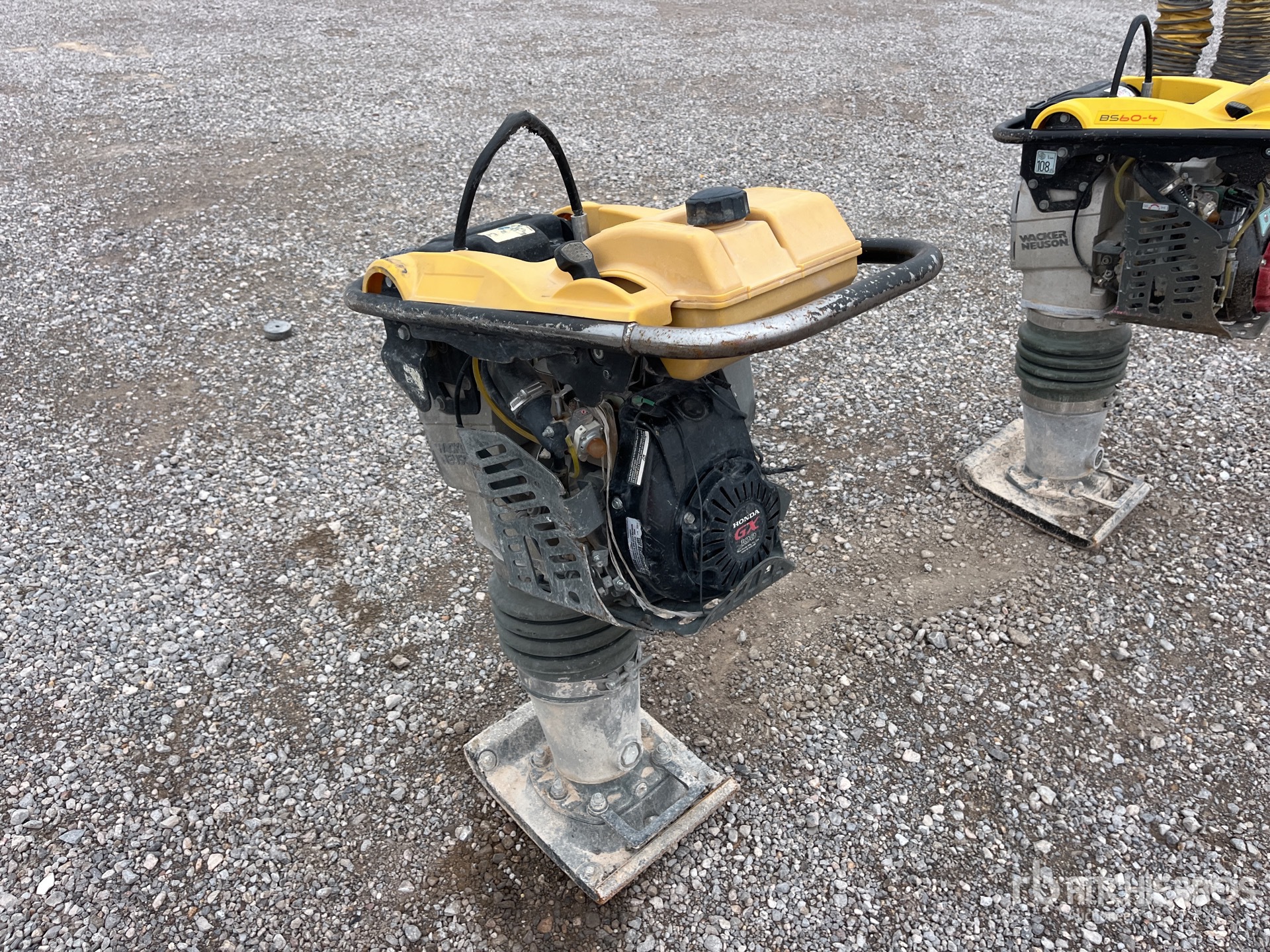 General Appearance with Zdjęcie, lewy dolny róg