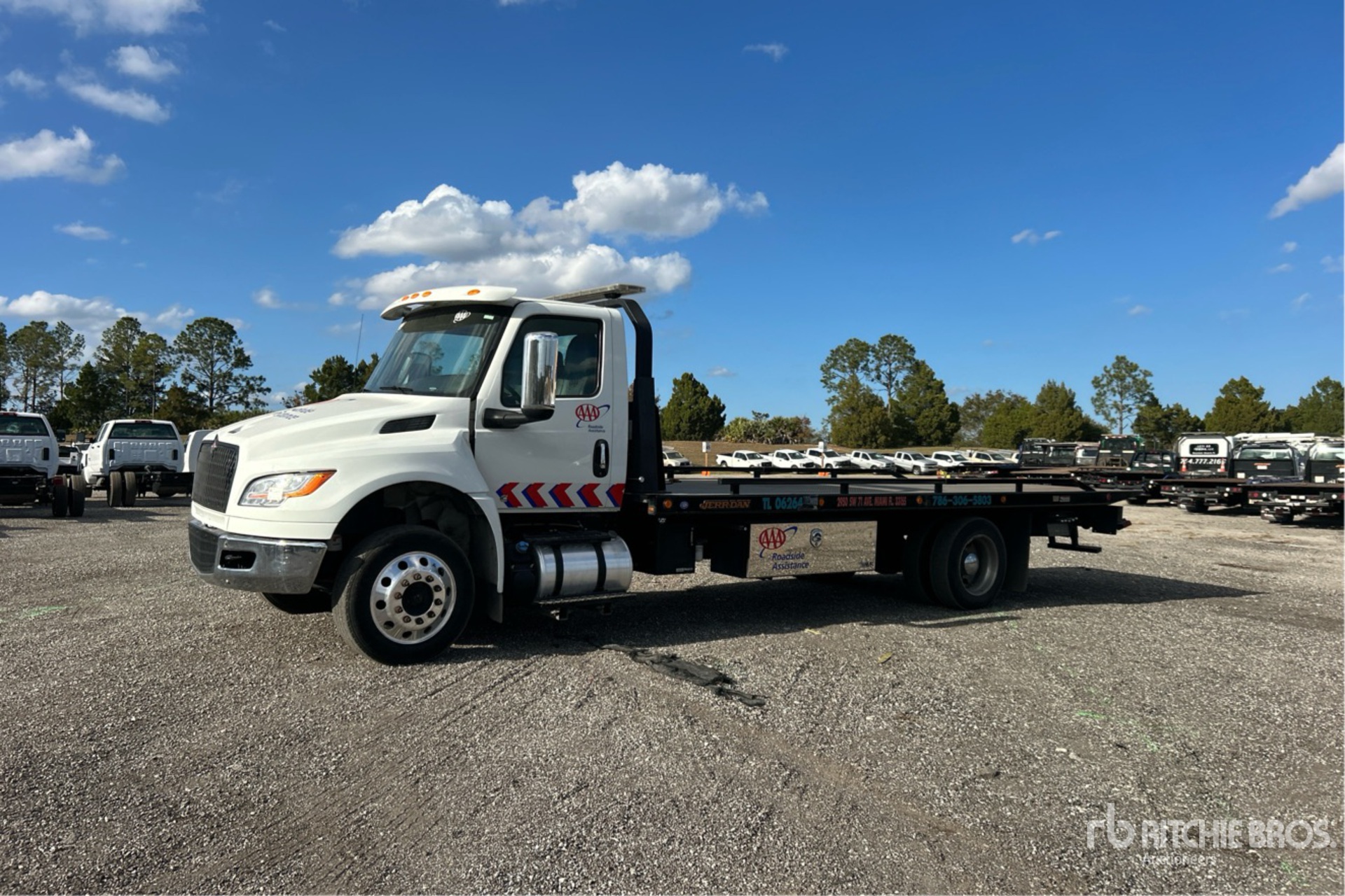 General Appearance with Spin