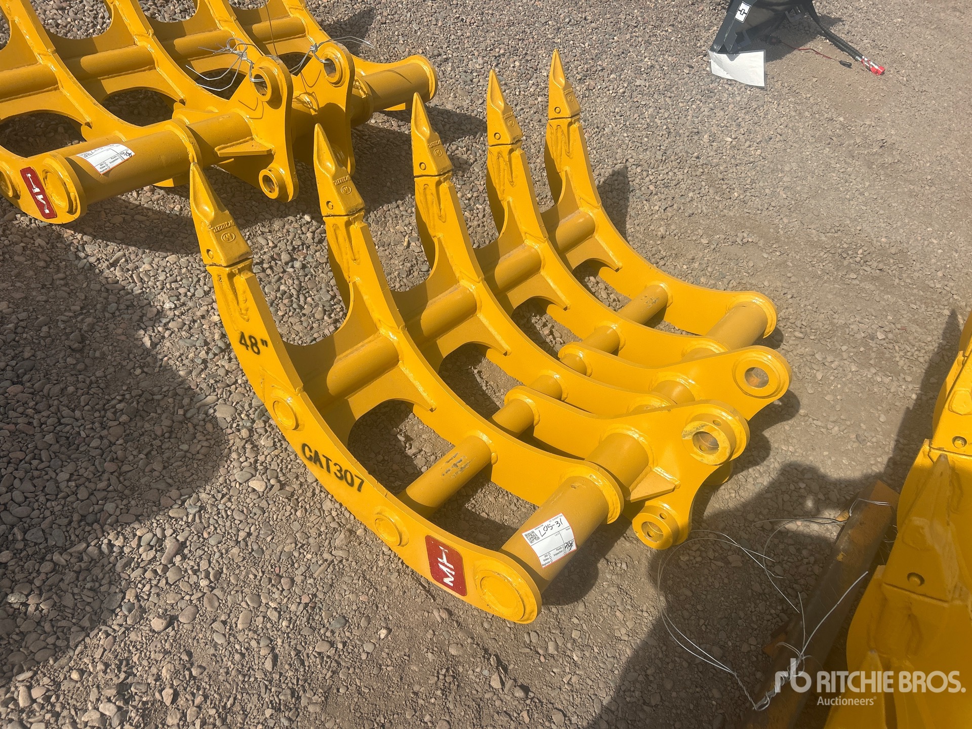 General Appearance with Foto, angolo anteriore sinistro