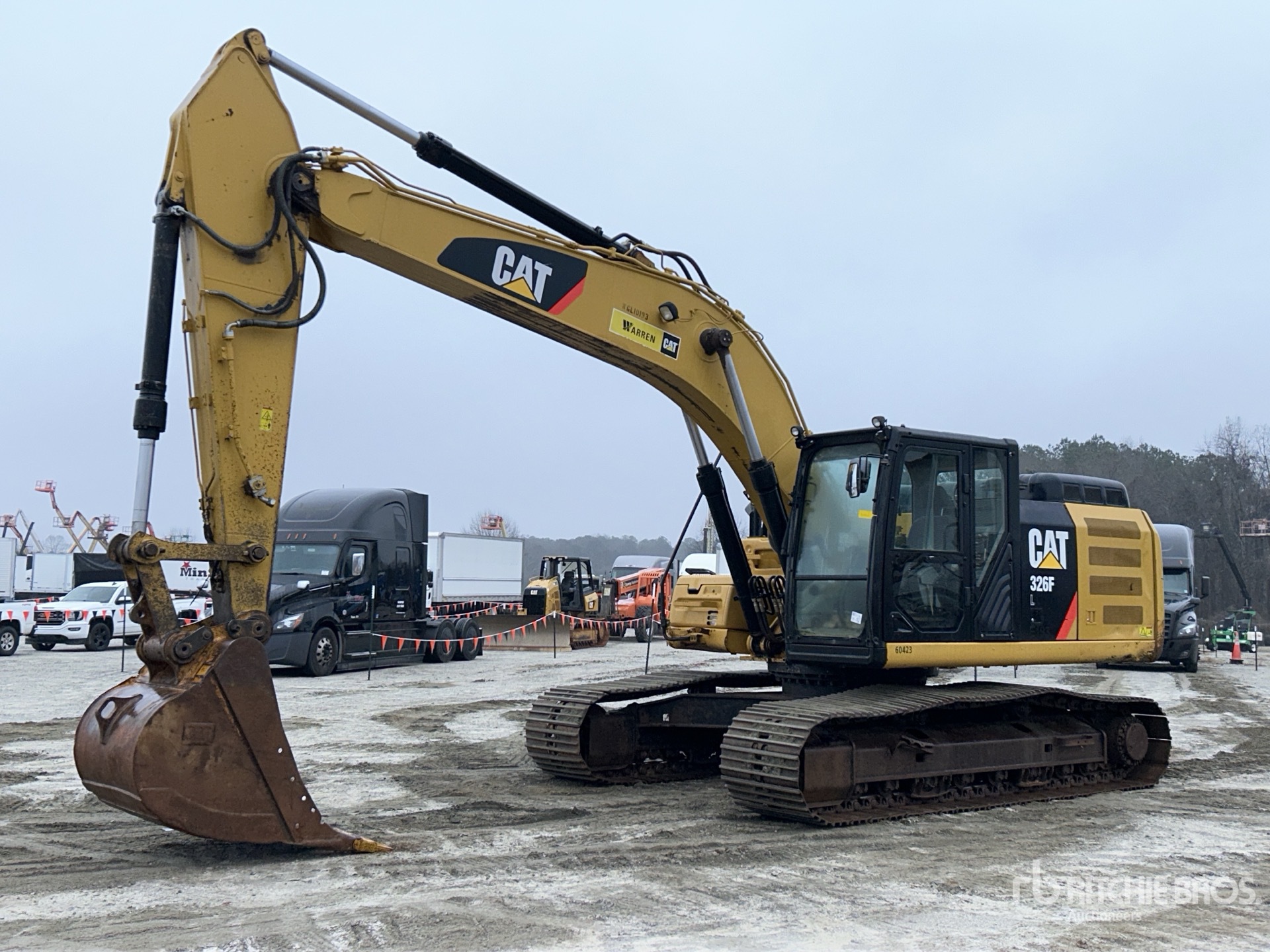 General Appearance with Spin