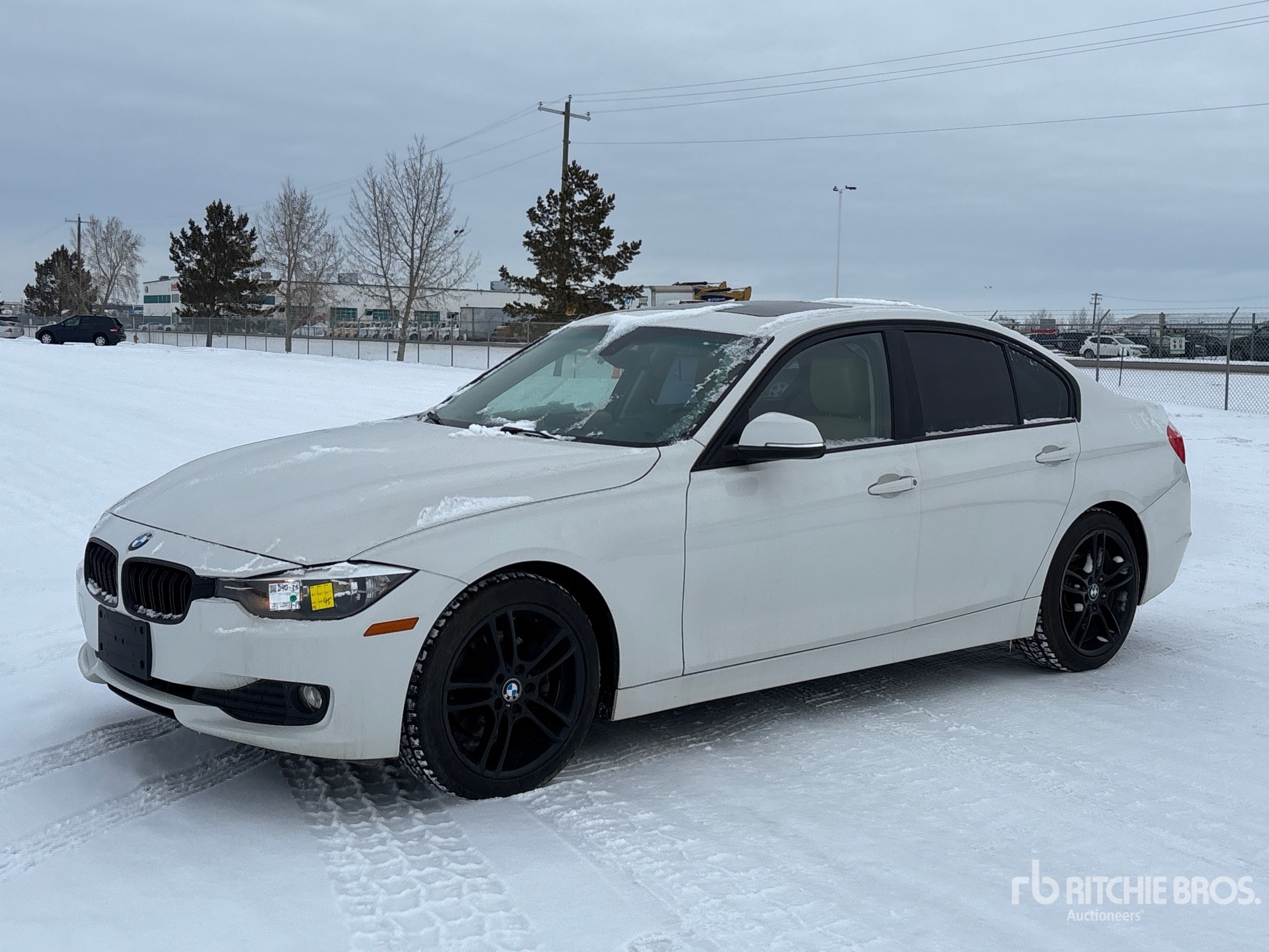 General Appearance with Spin