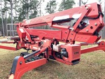 General Appearance with Paint