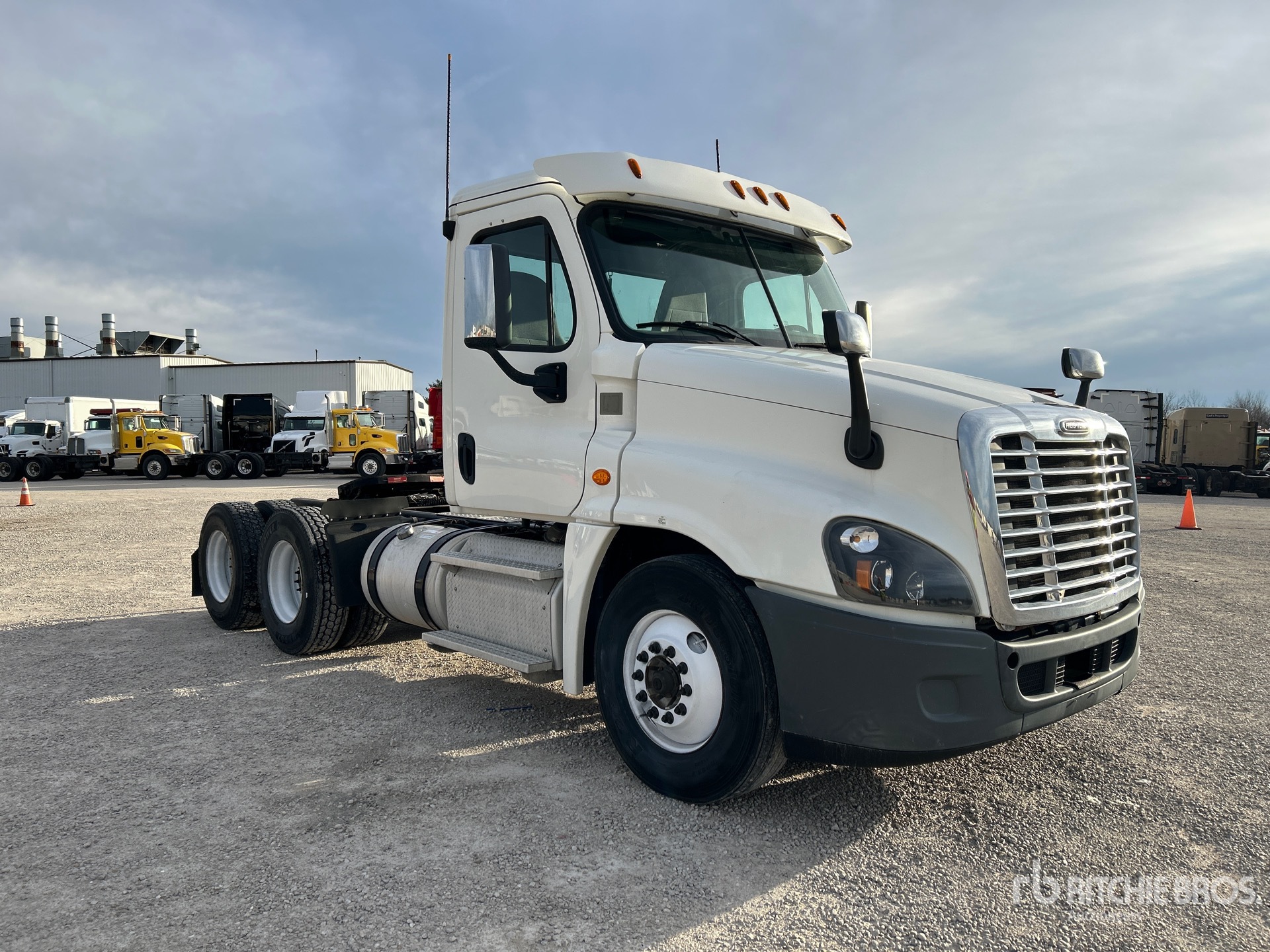 General Appearance with Zdjęcie, prawy górny róg