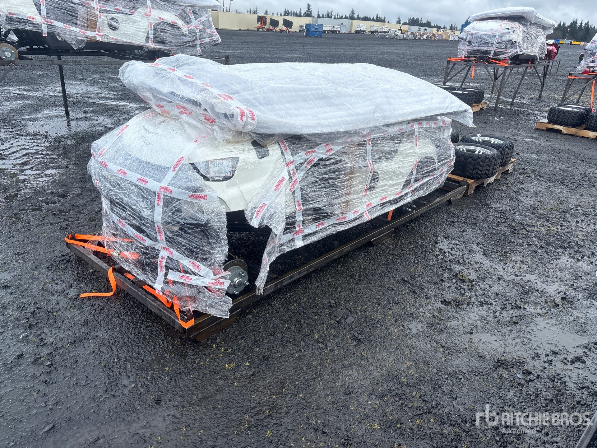 General Appearance with Zdjęcie, lewy górny róg