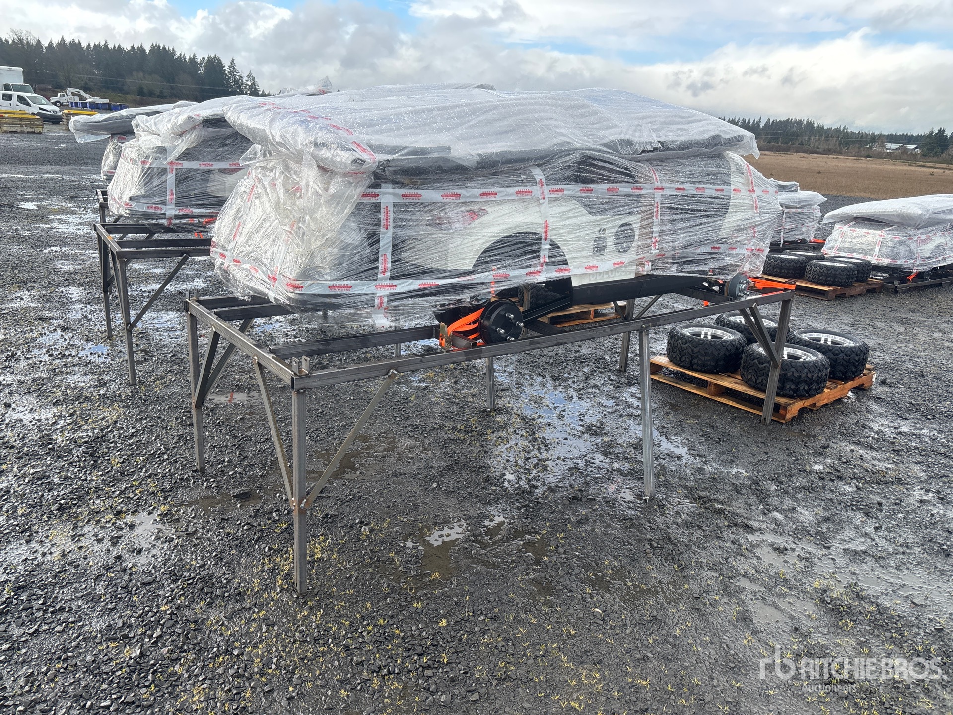 General Appearance with Zdjęcie, prawy dolny róg