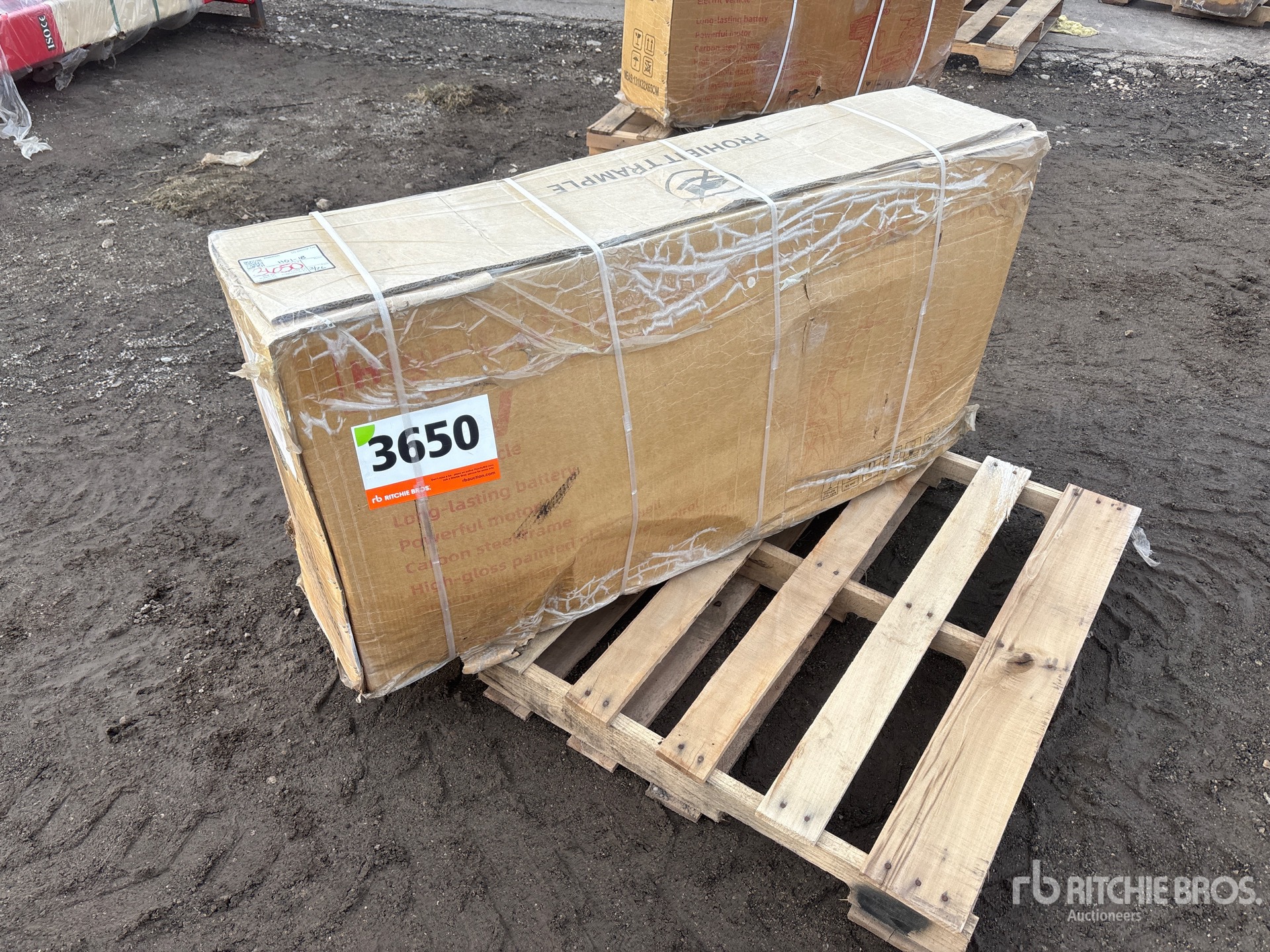 General Appearance with Picture, Right Front Corner