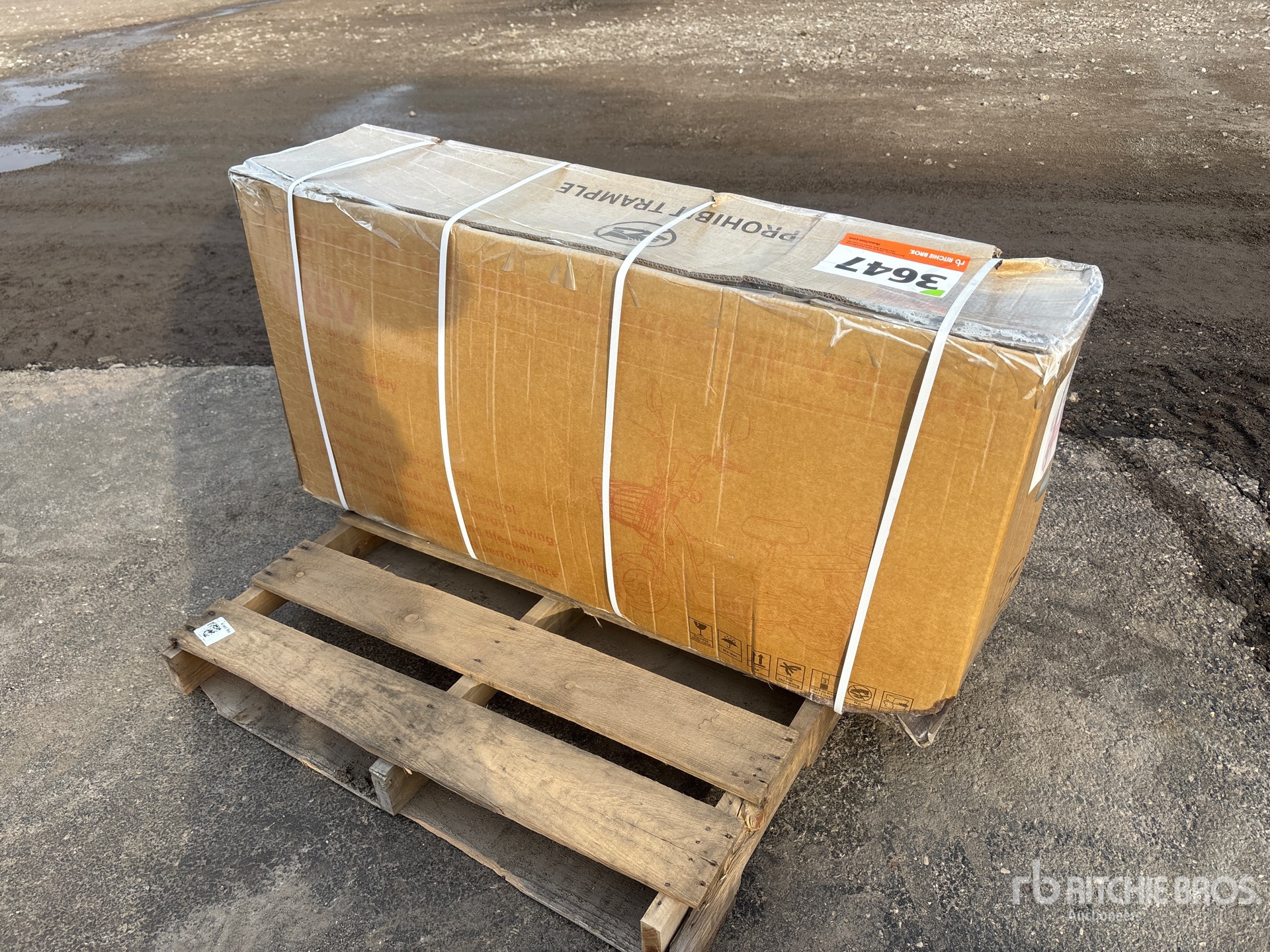 General Appearance with Picture, Left Front Corner