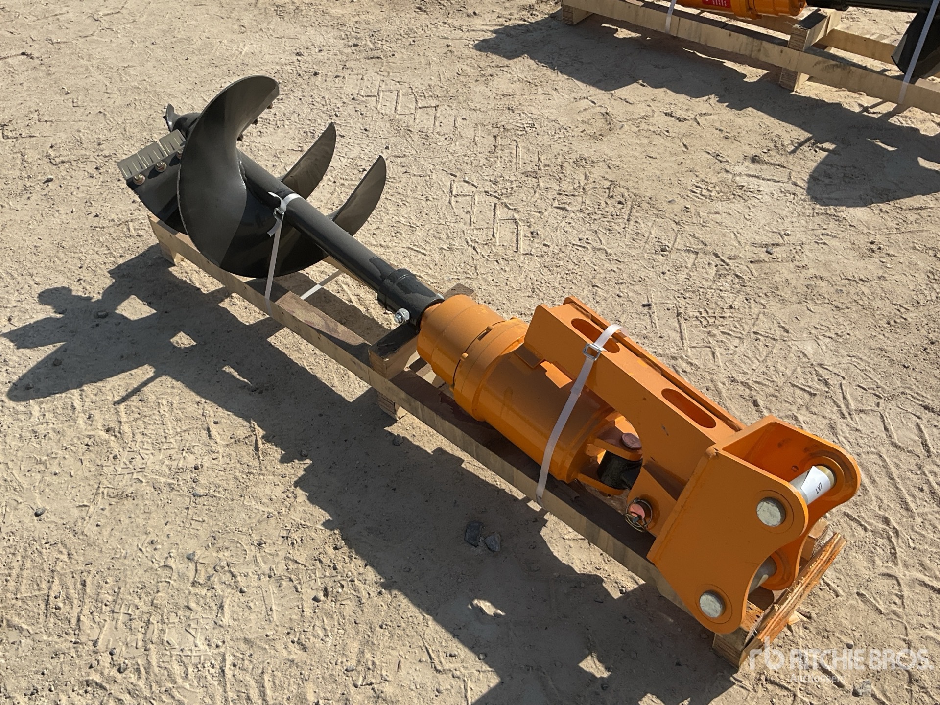 General Appearance with Zdjęcie, prawy dolny róg