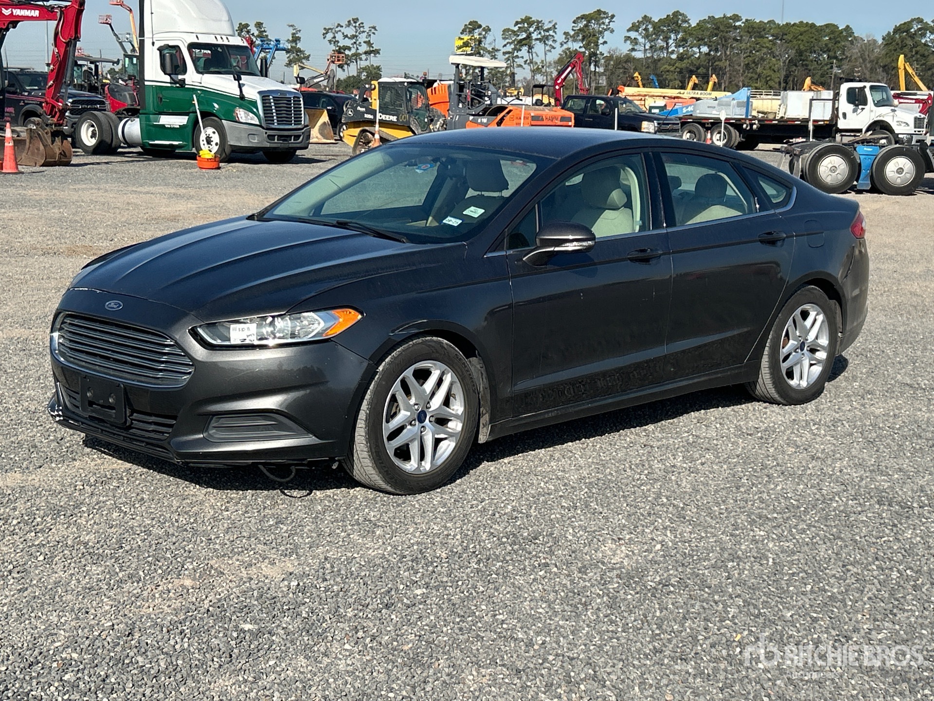 General Appearance with Spin