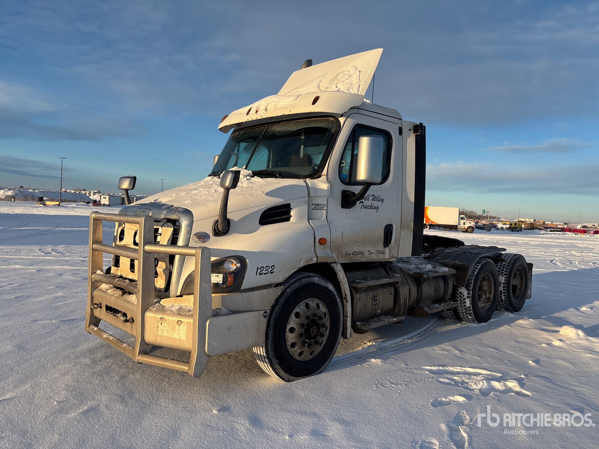 General Appearance with Spin